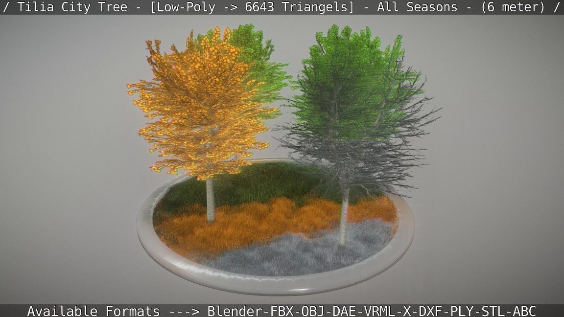 Tilia Tree - 6 Meter -  All Seasons Low-poly 3D model_32