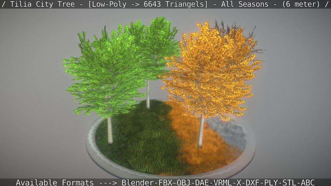 Tilia Tree - 6 Meter -  All Seasons Low-poly 3D model_19