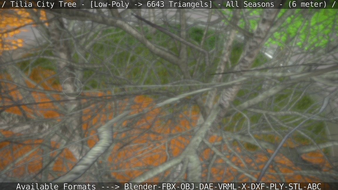 Tilia Tree - 6 Meter -  All Seasons Low-poly 3D model_59