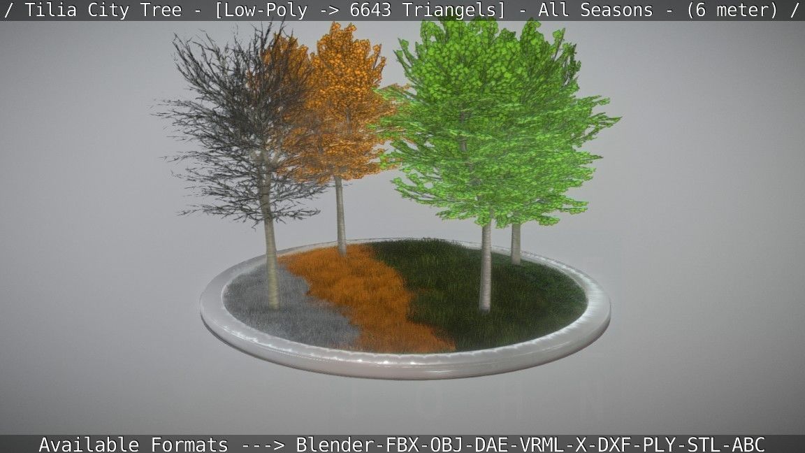 Tilia Tree - 6 Meter -  All Seasons Low-poly 3D model_40