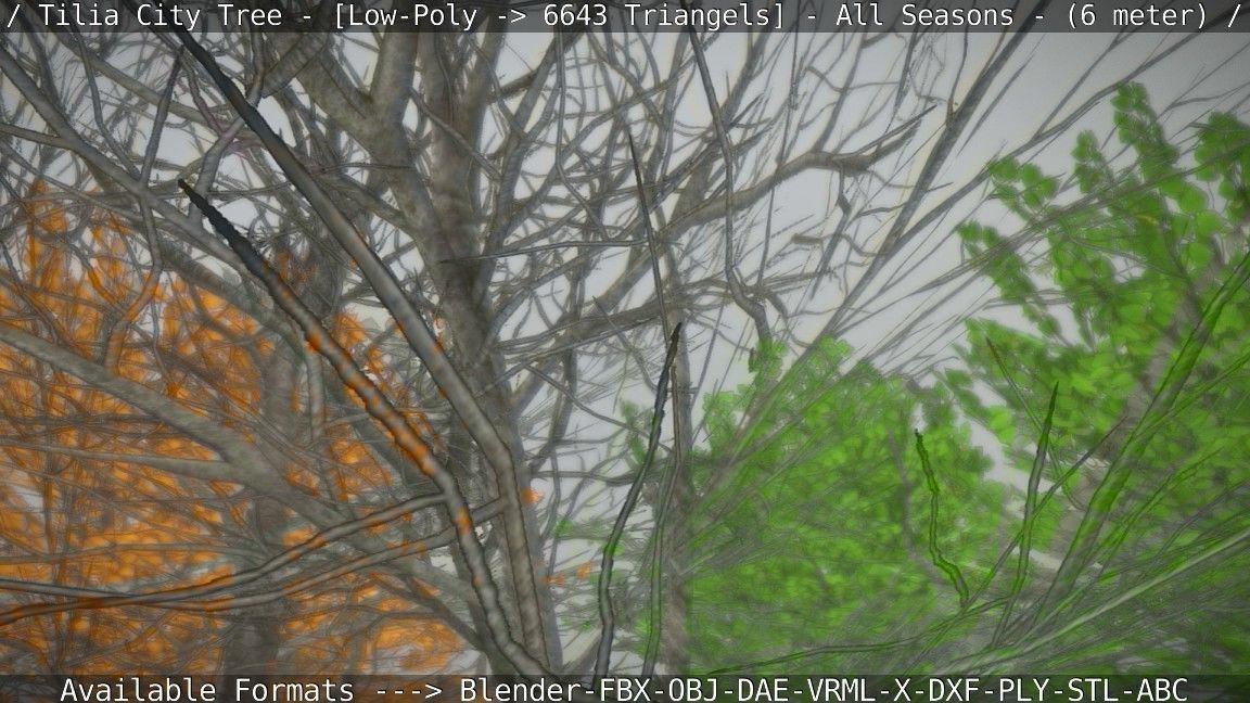 Tilia Tree - 6 Meter -  All Seasons Low-poly 3D model_78