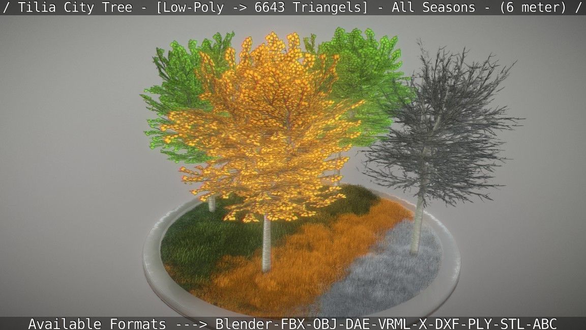 Tilia Tree - 6 Meter -  All Seasons Low-poly 3D model_26