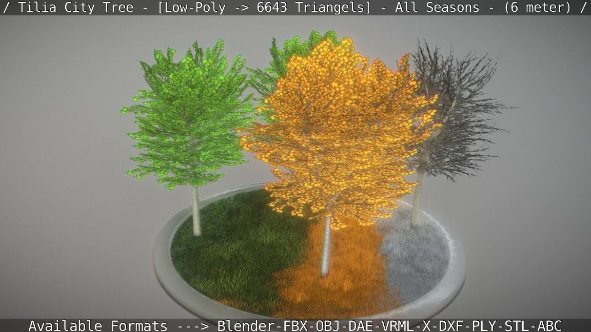 Tilia Tree - 6 Meter -  All Seasons Low-poly 3D model_22