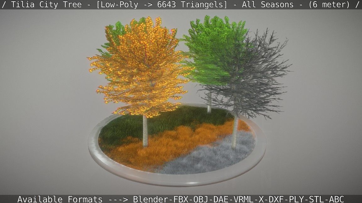Tilia Tree - 6 Meter -  All Seasons Low-poly 3D model_27