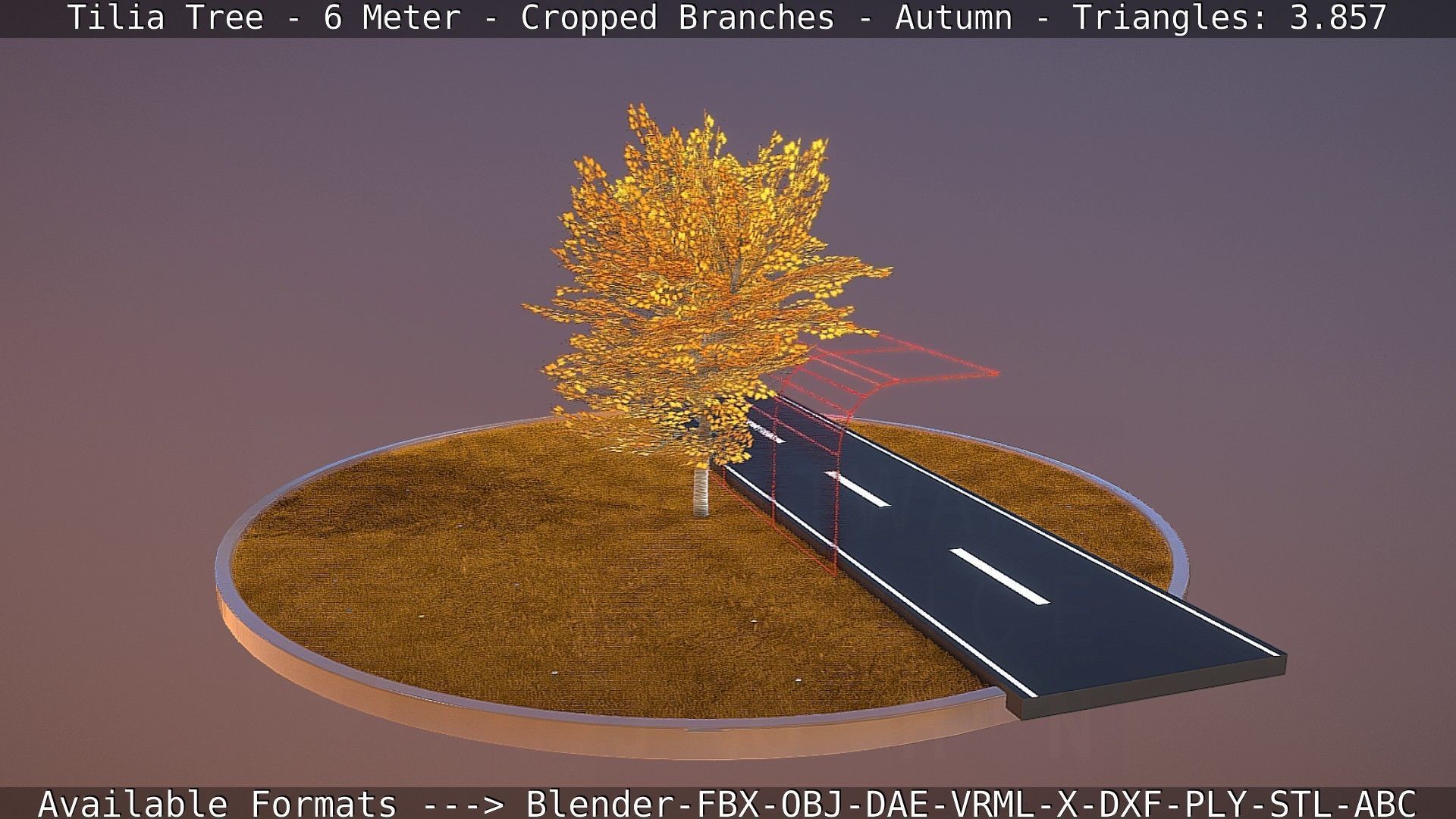Tilia Tree - 6 Meter - cropped  branches - Autumn Low-poly 3D model_18