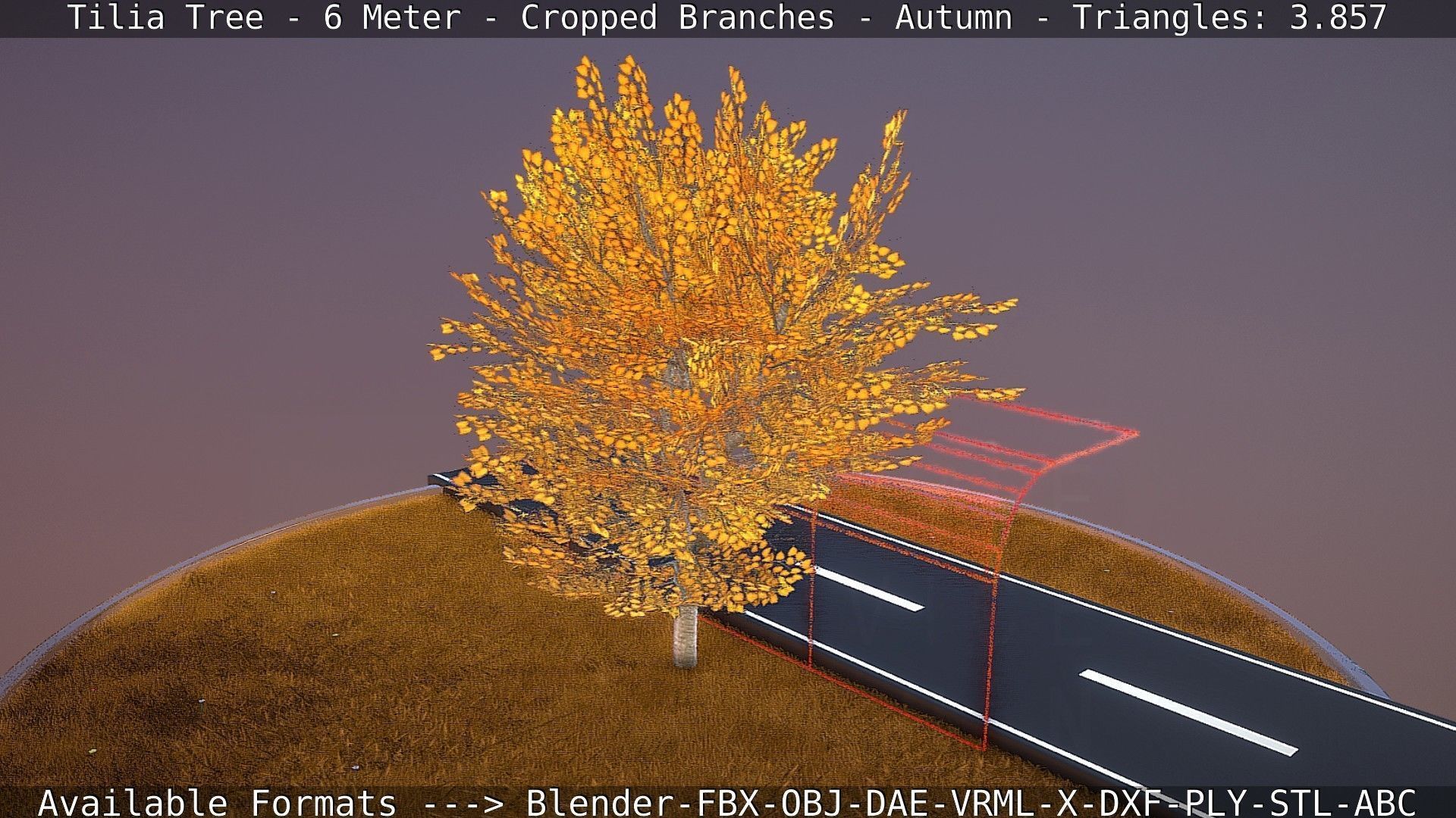 Tilia Tree - 6 Meter - cropped  branches - Autumn Low-poly 3D model_63