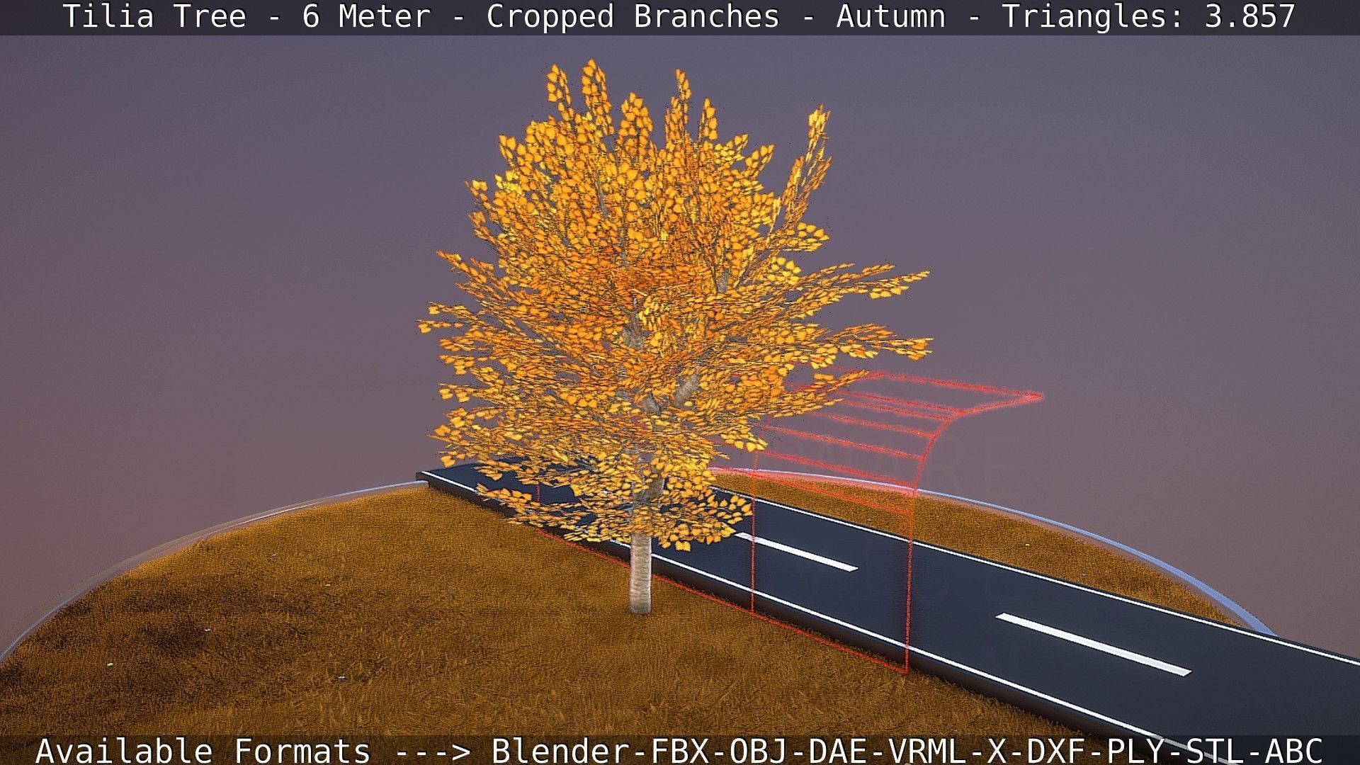 Tilia Tree - 6 Meter - cropped  branches - Autumn Low-poly 3D model_82