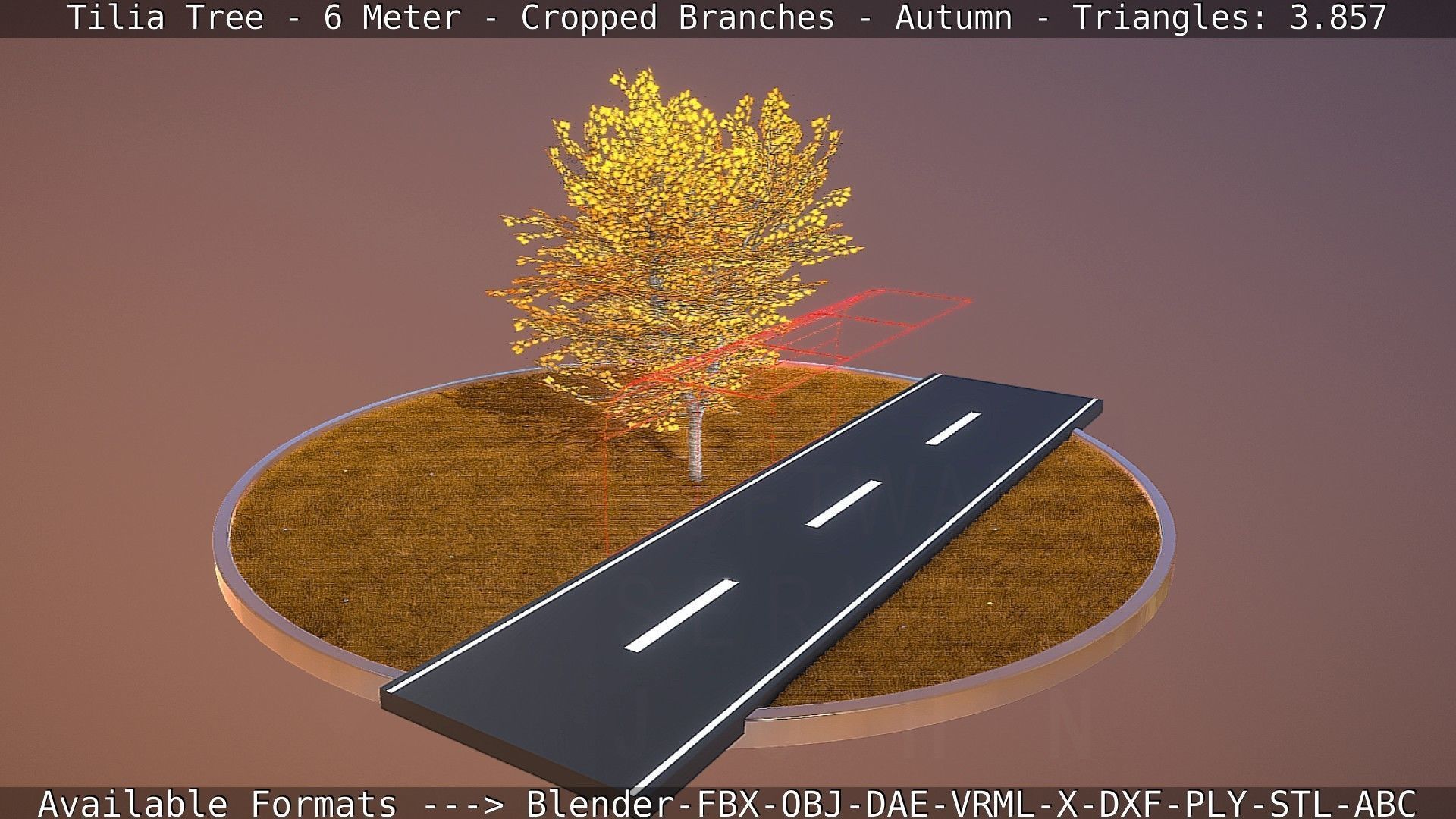 Tilia Tree - 6 Meter - cropped  branches - Autumn Low-poly 3D model_79