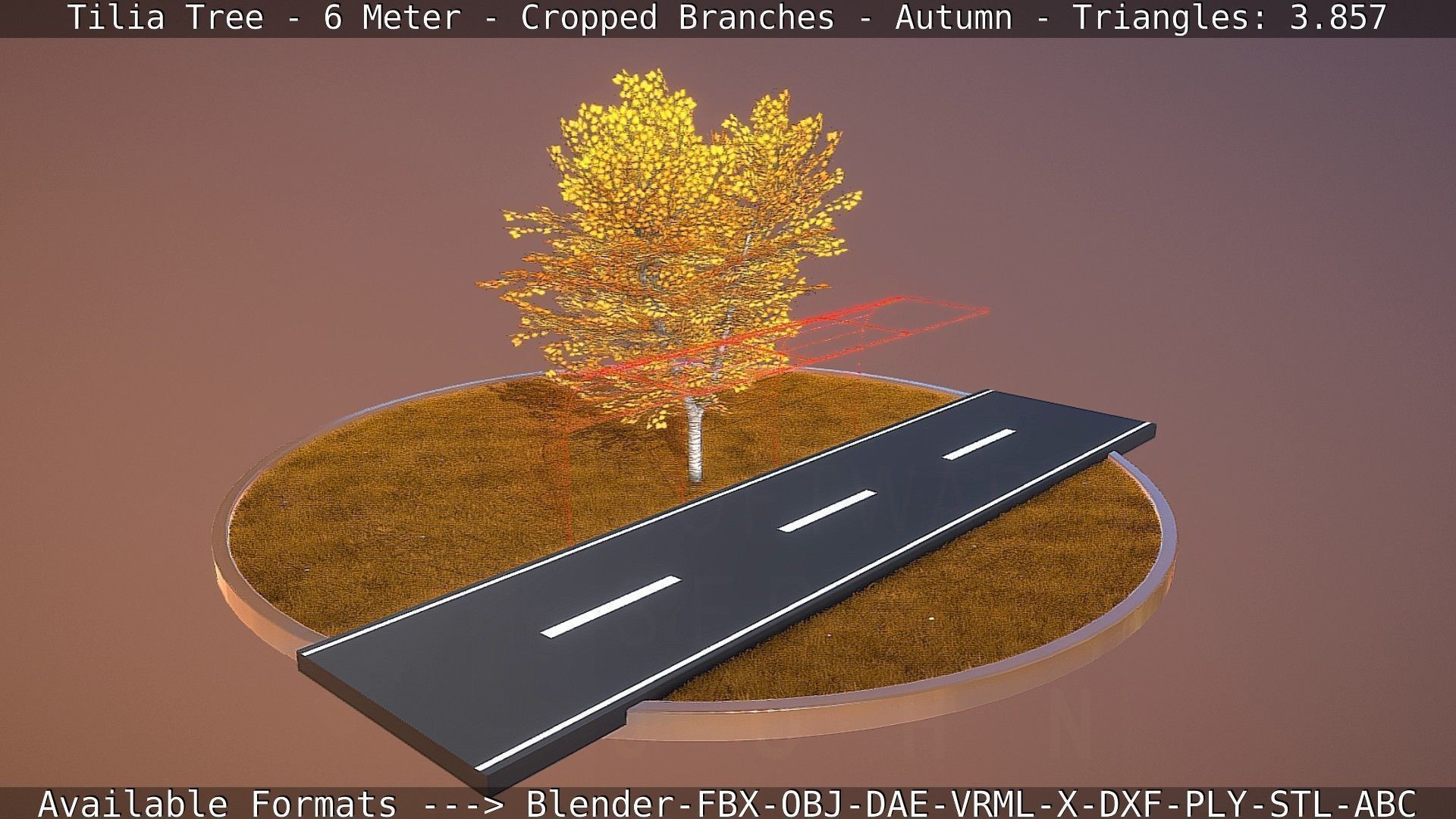 Tilia Tree - 6 Meter - cropped  branches - Autumn Low-poly 3D model_15