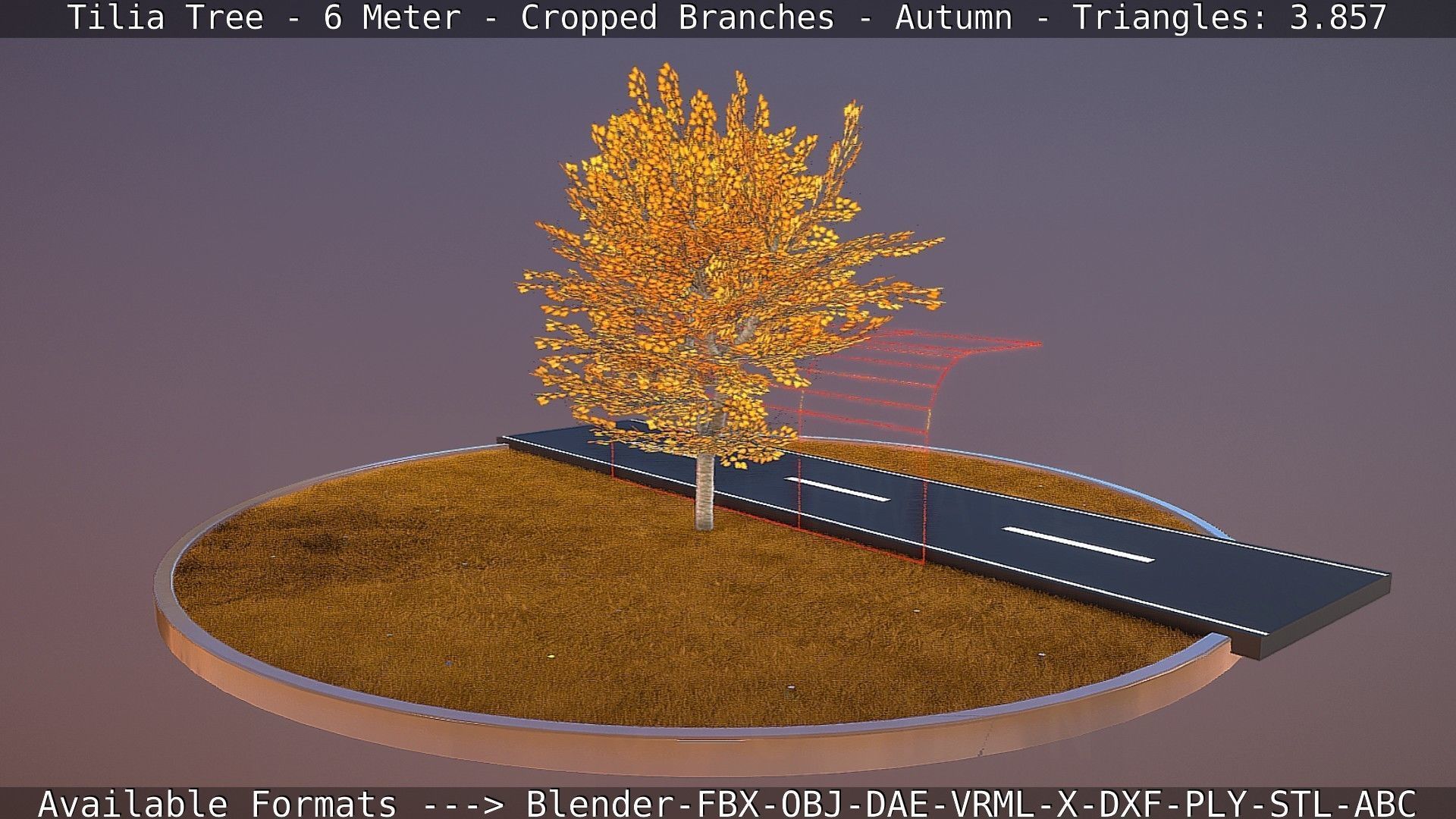 Tilia Tree - 6 Meter - cropped  branches - Autumn Low-poly 3D model_80