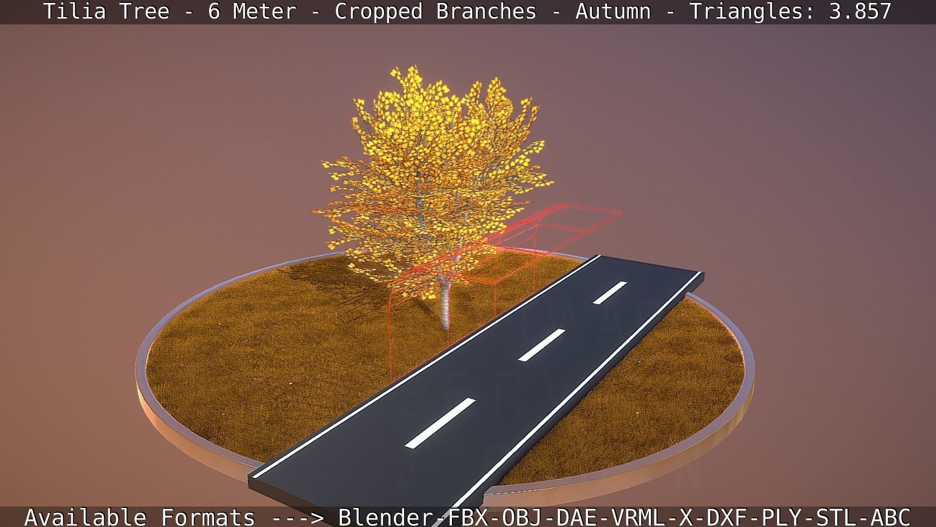 Tilia Tree - 6 Meter - cropped  branches - Autumn Low-poly 3D model_76