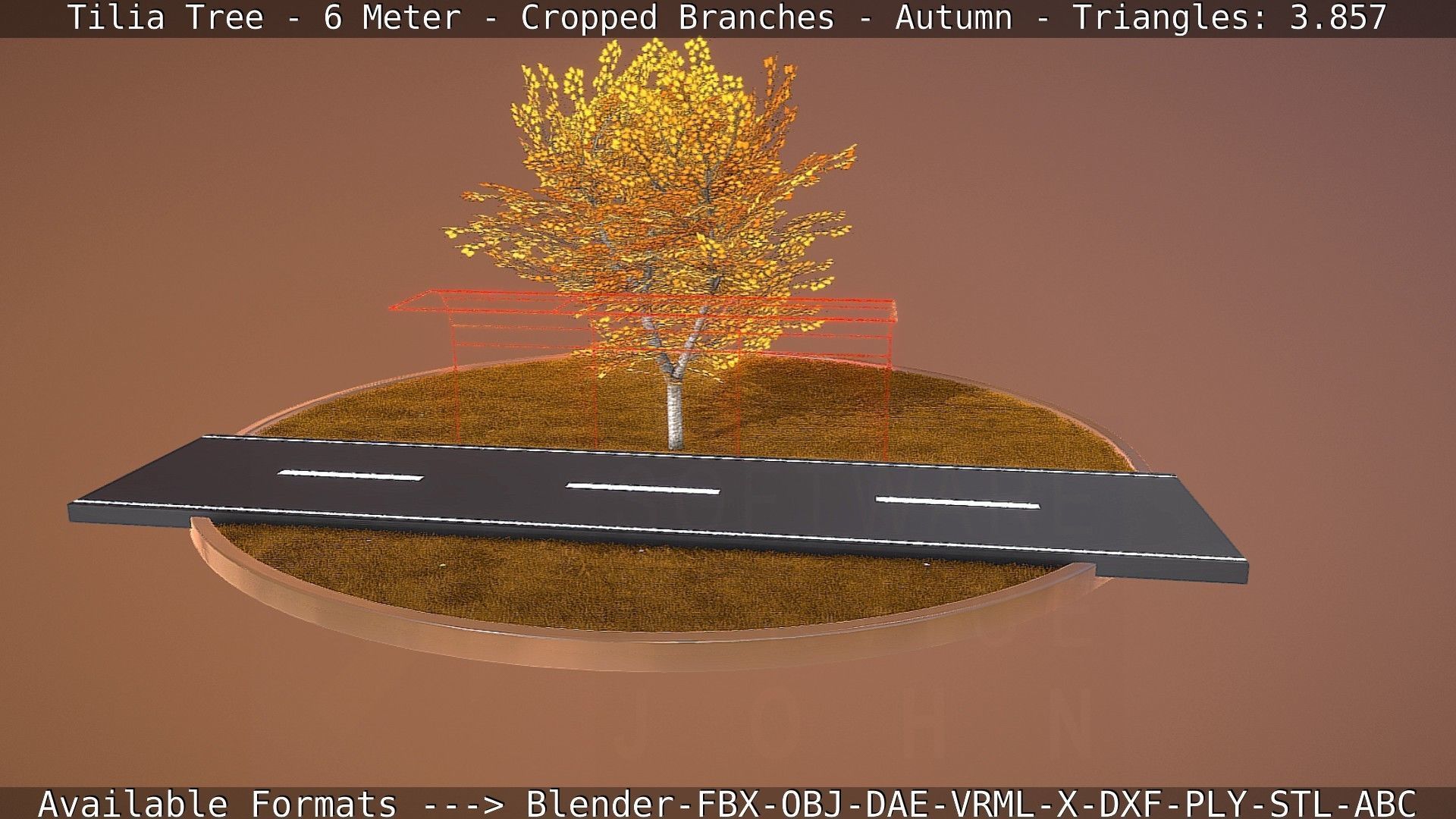 Tilia Tree - 6 Meter - cropped  branches - Autumn Low-poly 3D model_73