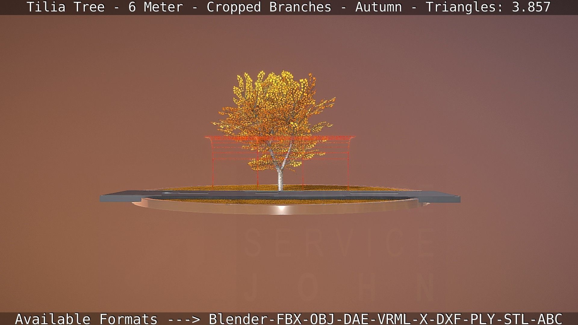 Tilia Tree - 6 Meter - cropped  branches - Autumn Low-poly 3D model_56