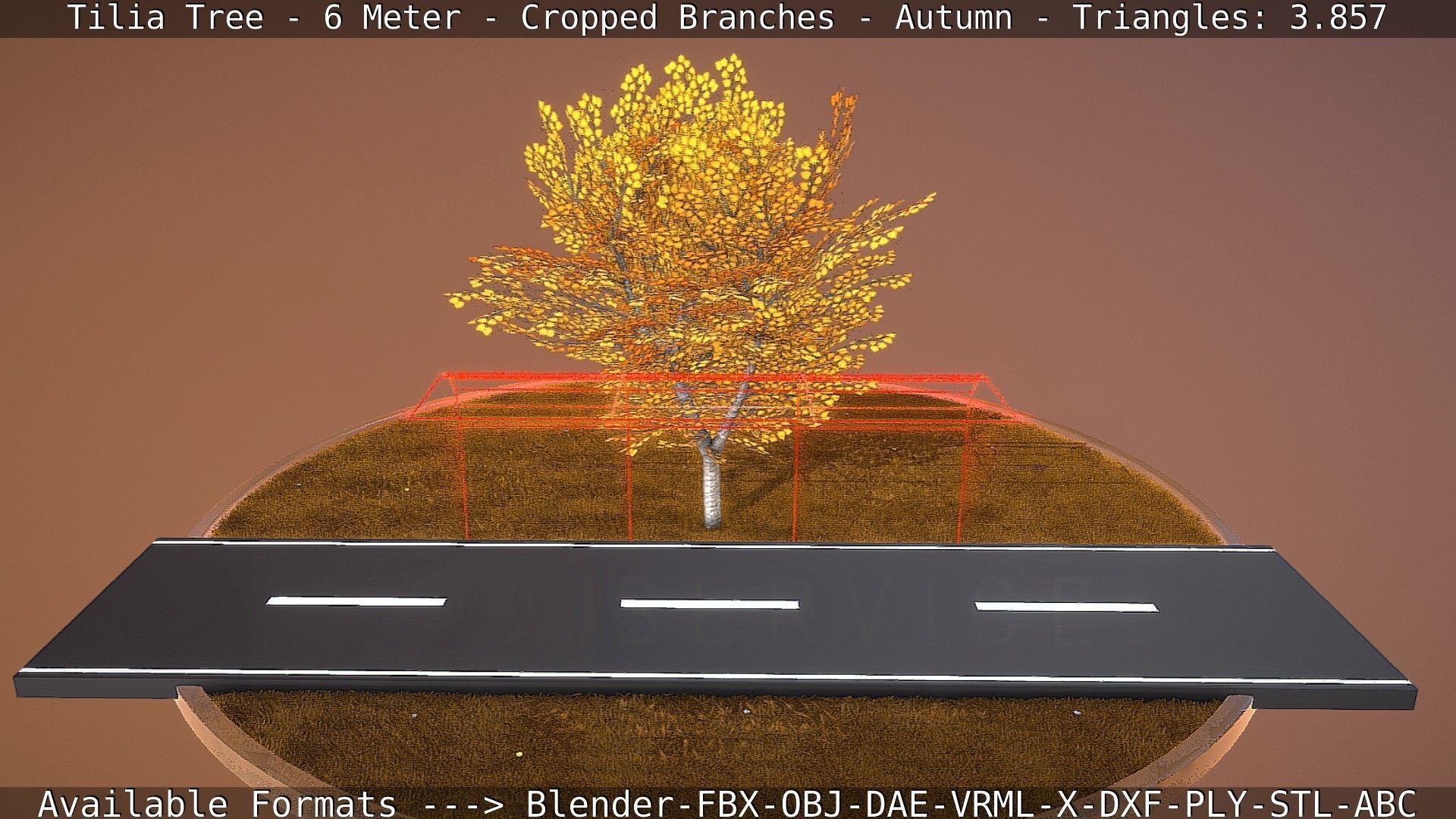 Tilia Tree - 6 Meter - cropped  branches - Autumn Low-poly 3D model_59