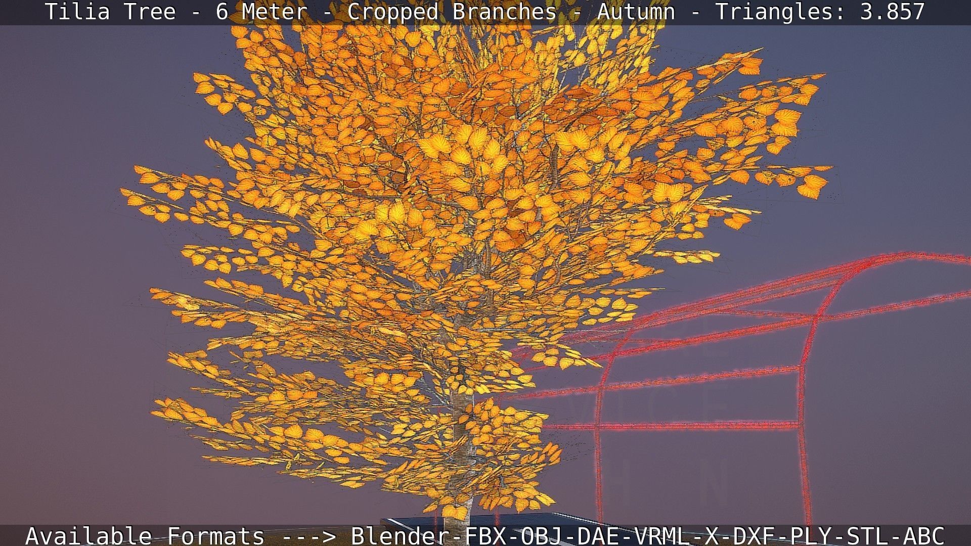 Tilia Tree - 6 Meter - cropped  branches - Autumn Low-poly 3D model_8