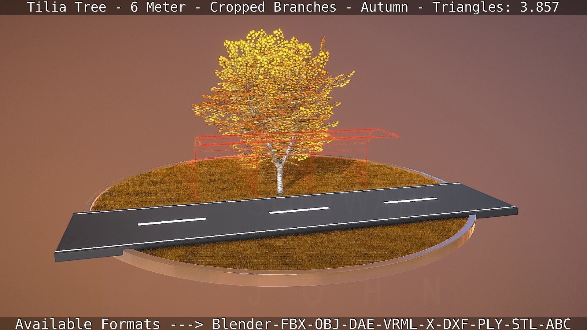 Tilia Tree - 6 Meter - cropped  branches - Autumn Low-poly 3D model_74