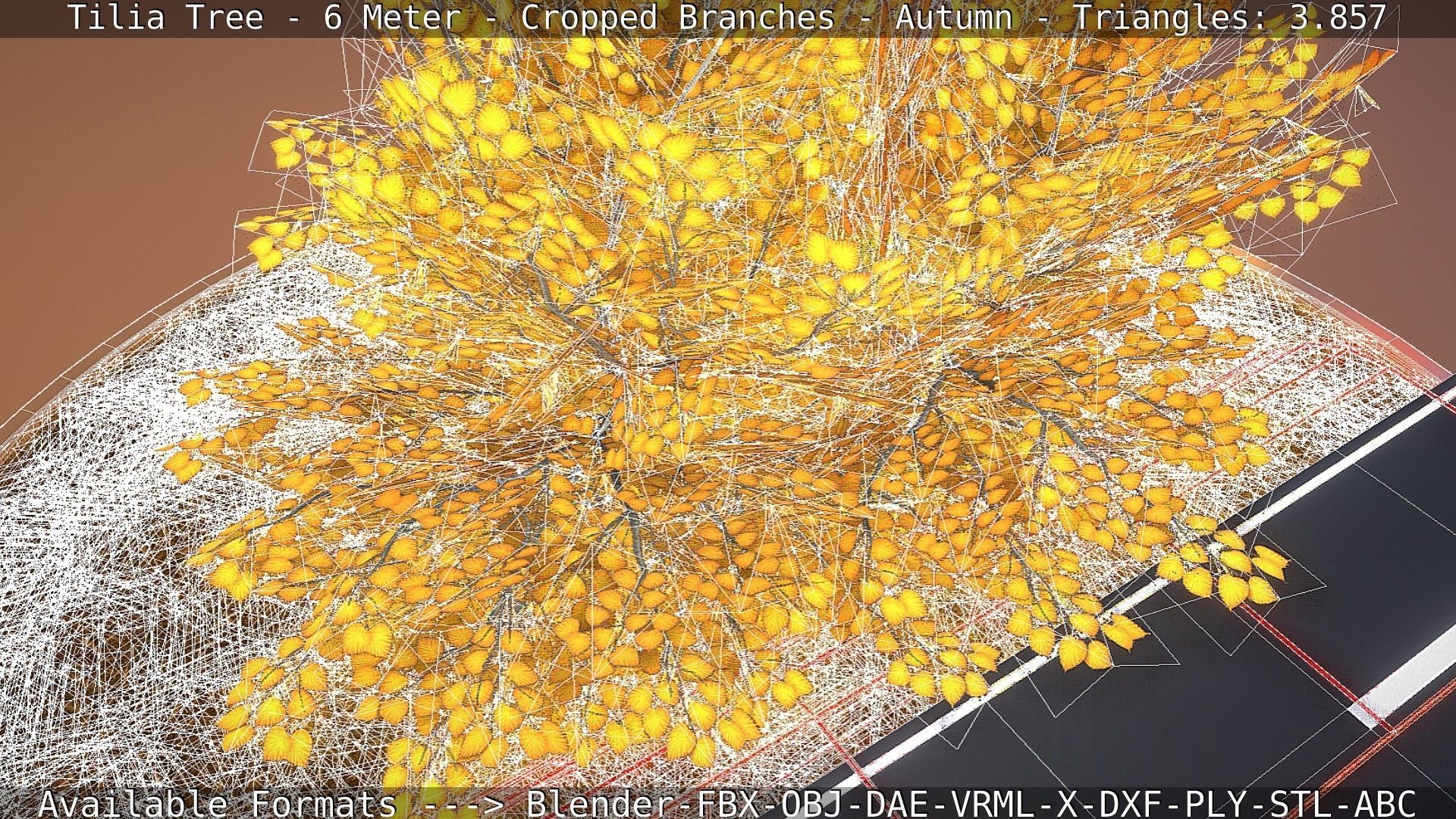 Tilia Tree - 6 Meter - cropped  branches - Autumn Low-poly 3D model_13