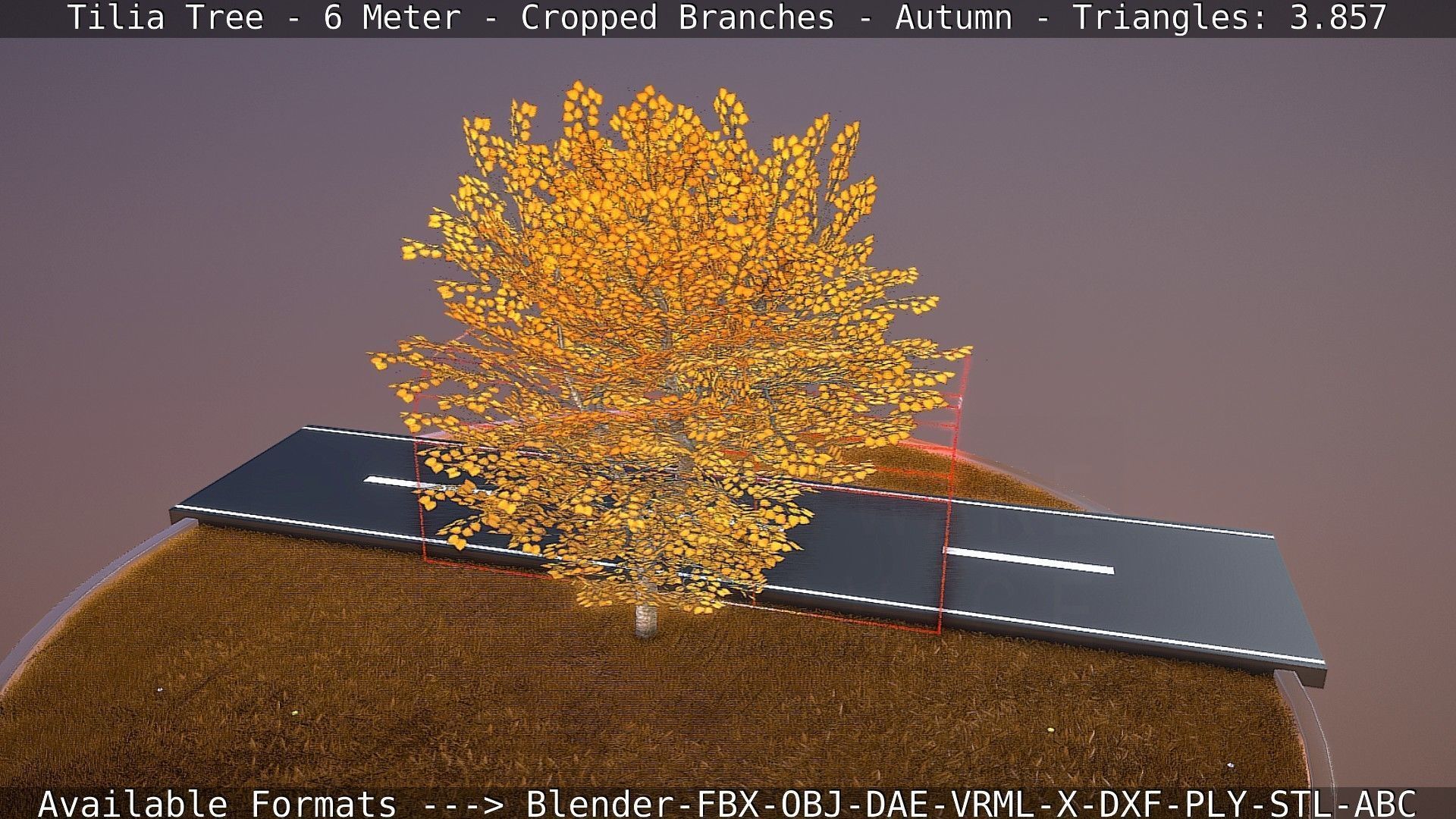 Tilia Tree - 6 Meter - cropped  branches - Autumn Low-poly 3D model_65