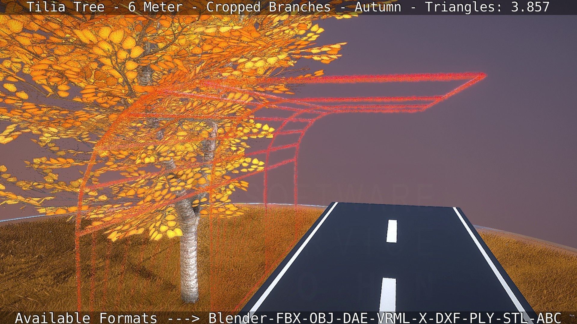 Tilia Tree - 6 Meter - cropped  branches - Autumn Low-poly 3D model_42