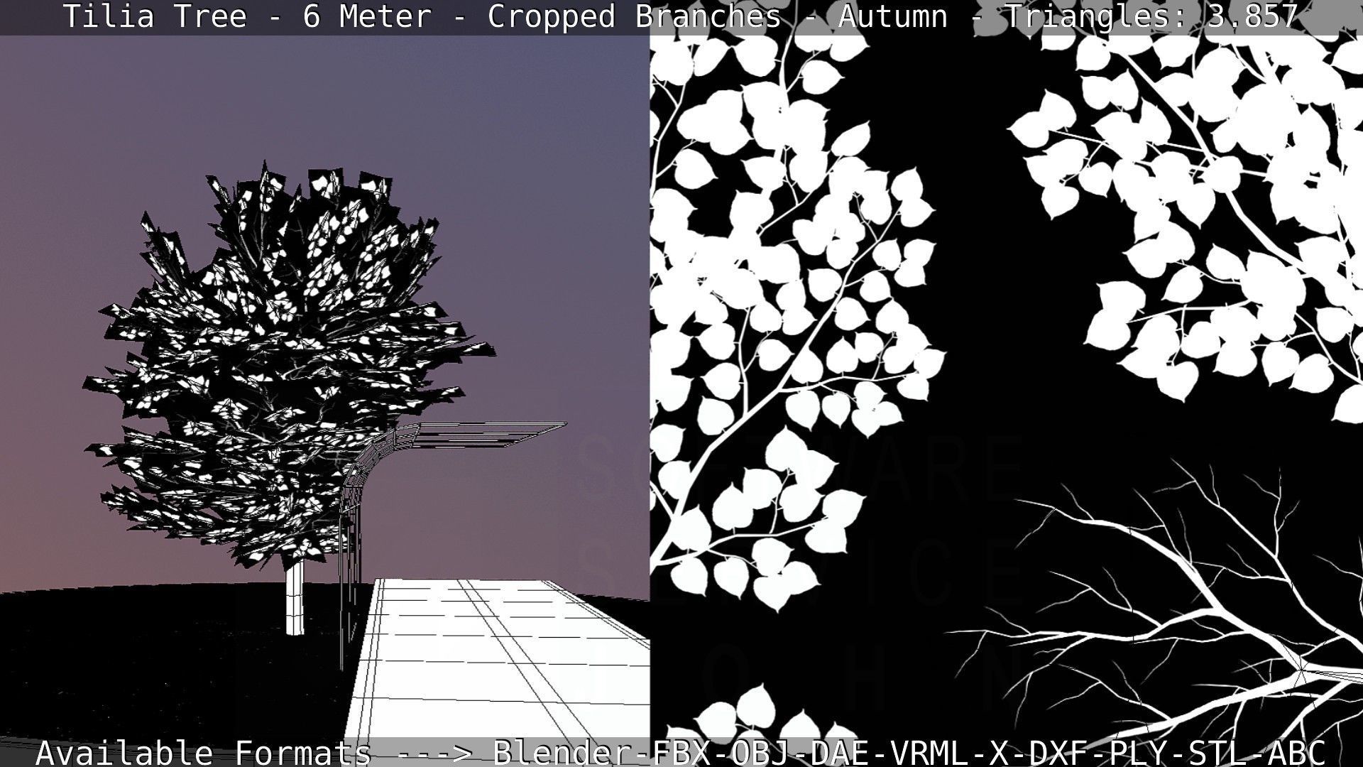 Tilia Tree - 6 Meter - cropped  branches - Autumn Low-poly 3D model_51