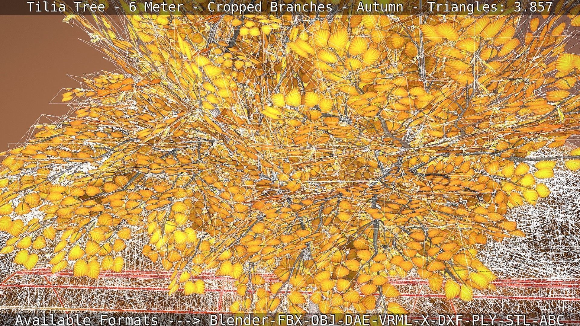 Tilia Tree - 6 Meter - cropped  branches - Autumn Low-poly 3D model_29