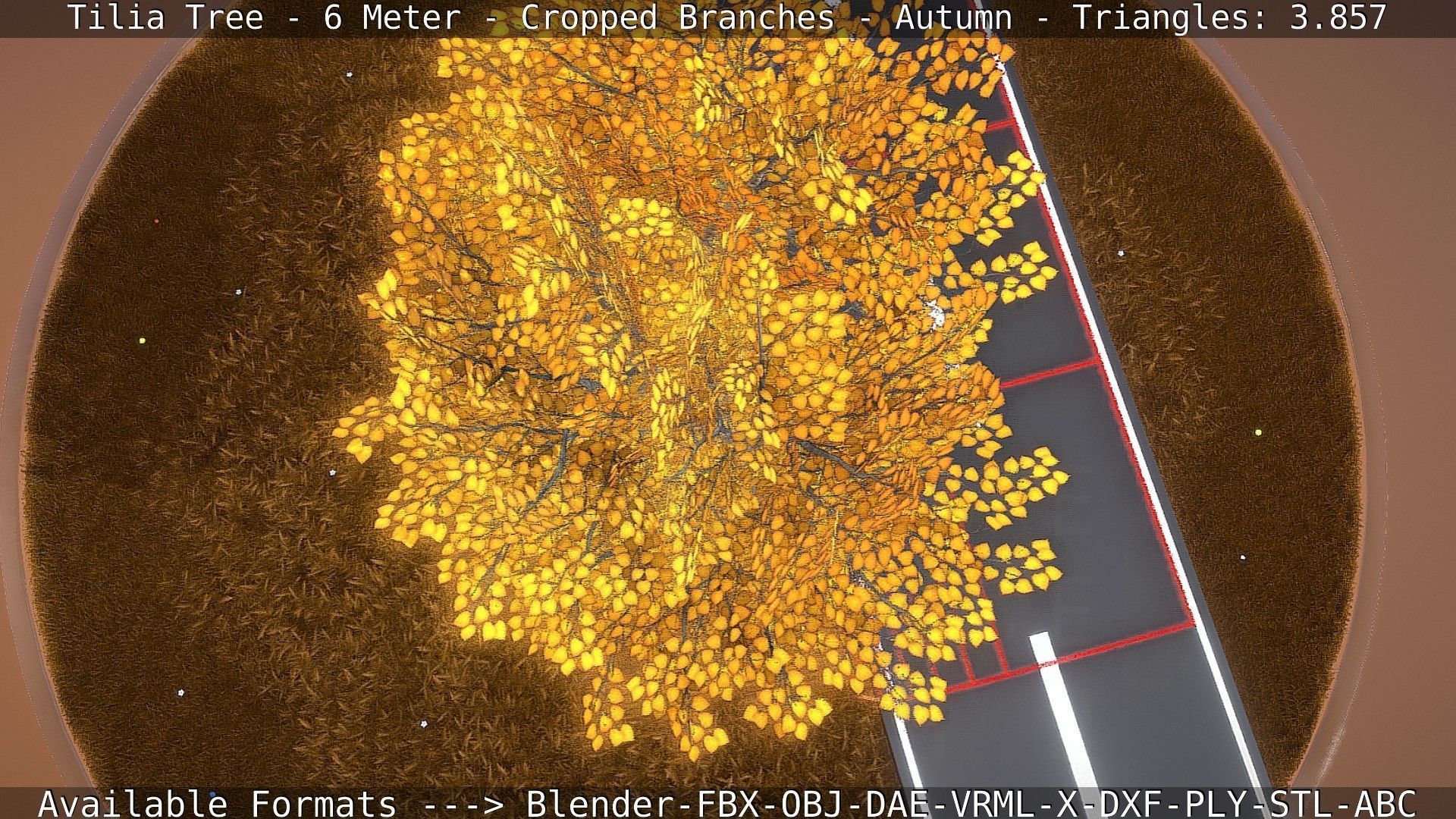 Tilia Tree - 6 Meter - cropped  branches - Autumn Low-poly 3D model_35