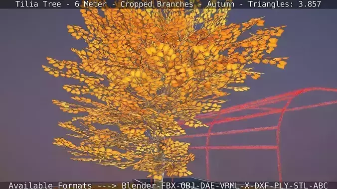 Tilia Tree - 6 Meter - cropped  branches - Autumn Low-poly 3D model