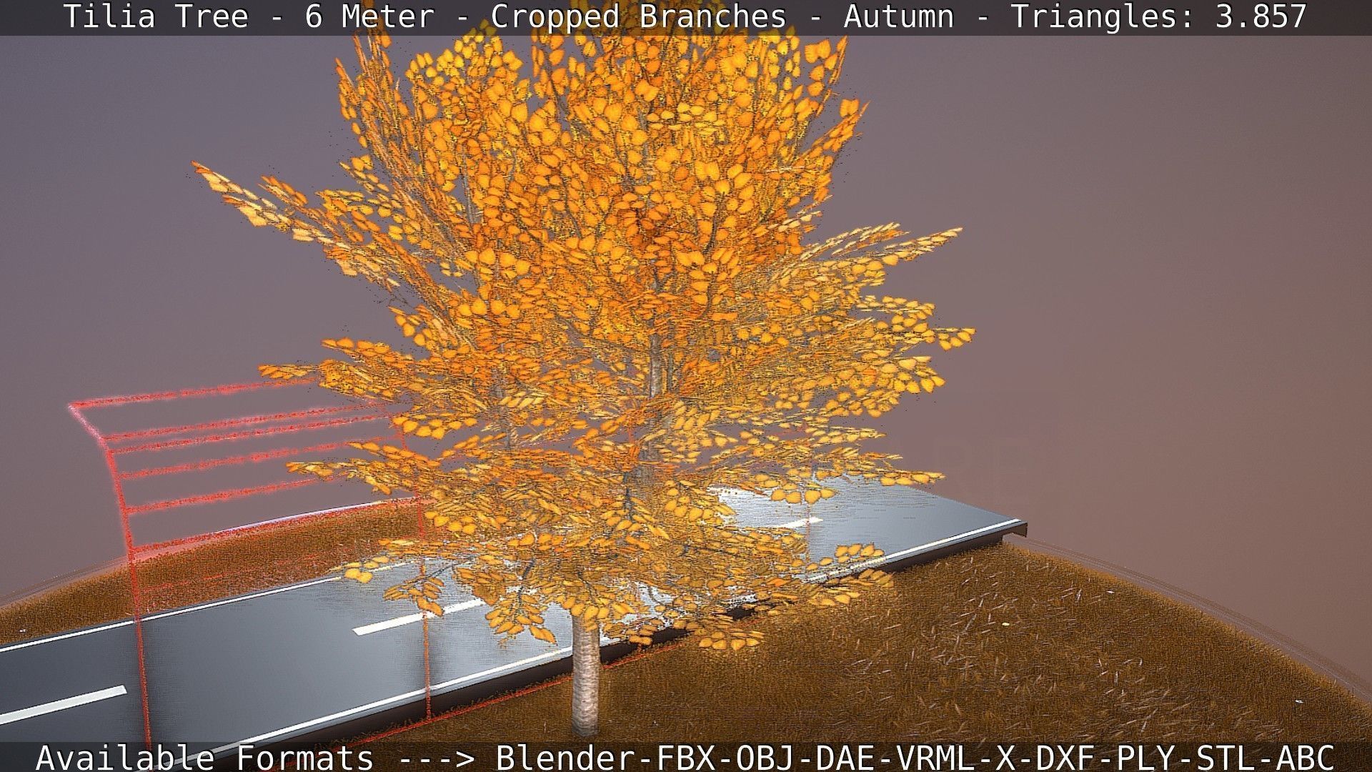 Tilia Tree - 6 Meter - cropped  branches - Autumn Low-poly 3D model_25