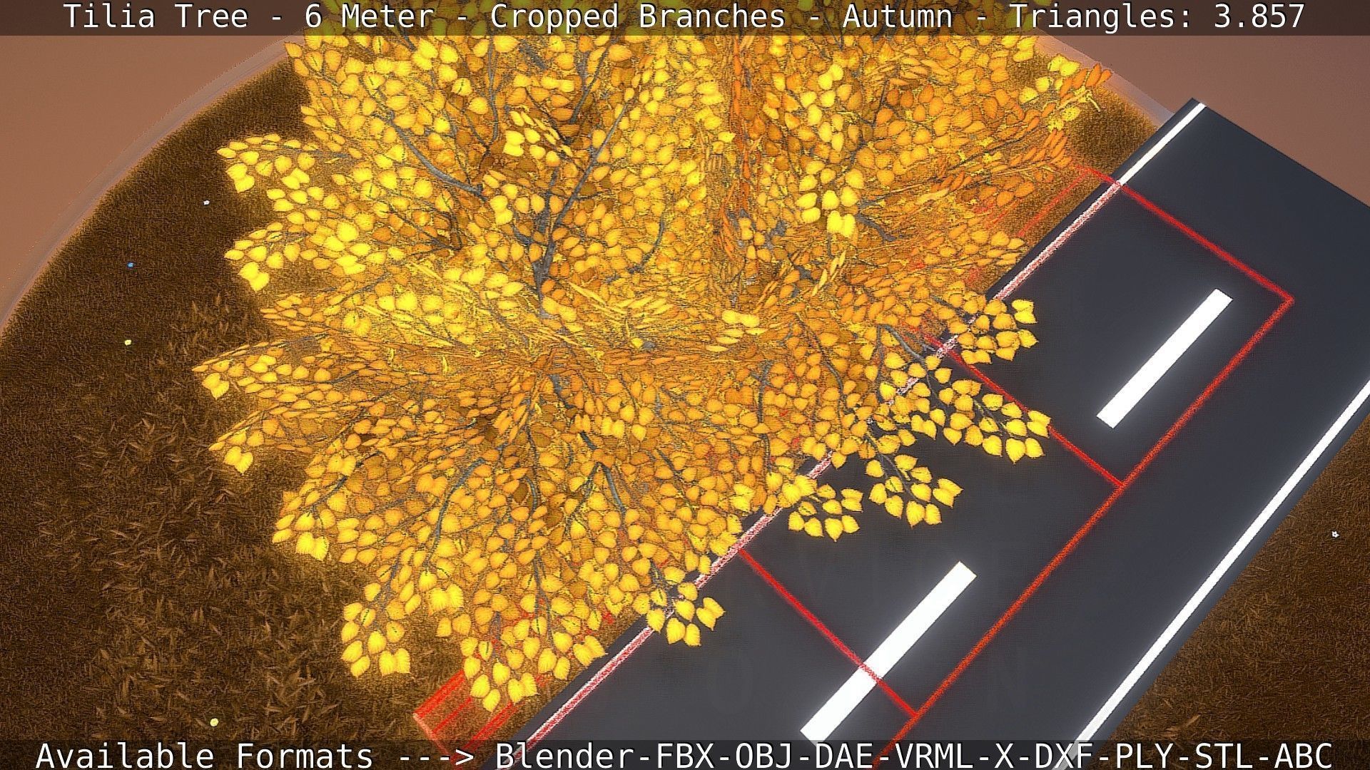 Tilia Tree - 6 Meter - cropped  branches - Autumn Low-poly 3D model_33