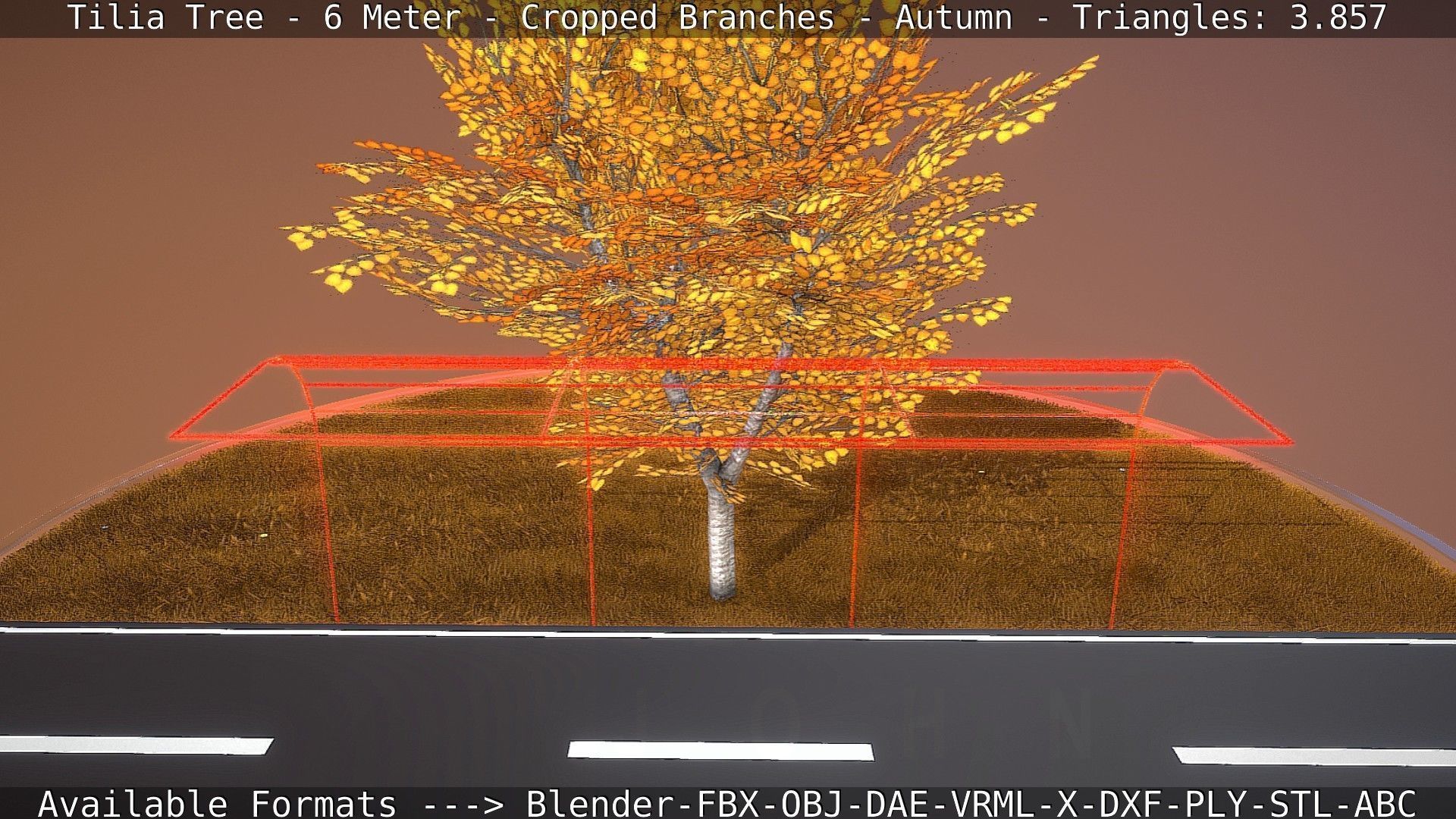 Tilia Tree - 6 Meter - cropped  branches - Autumn Low-poly 3D model_17