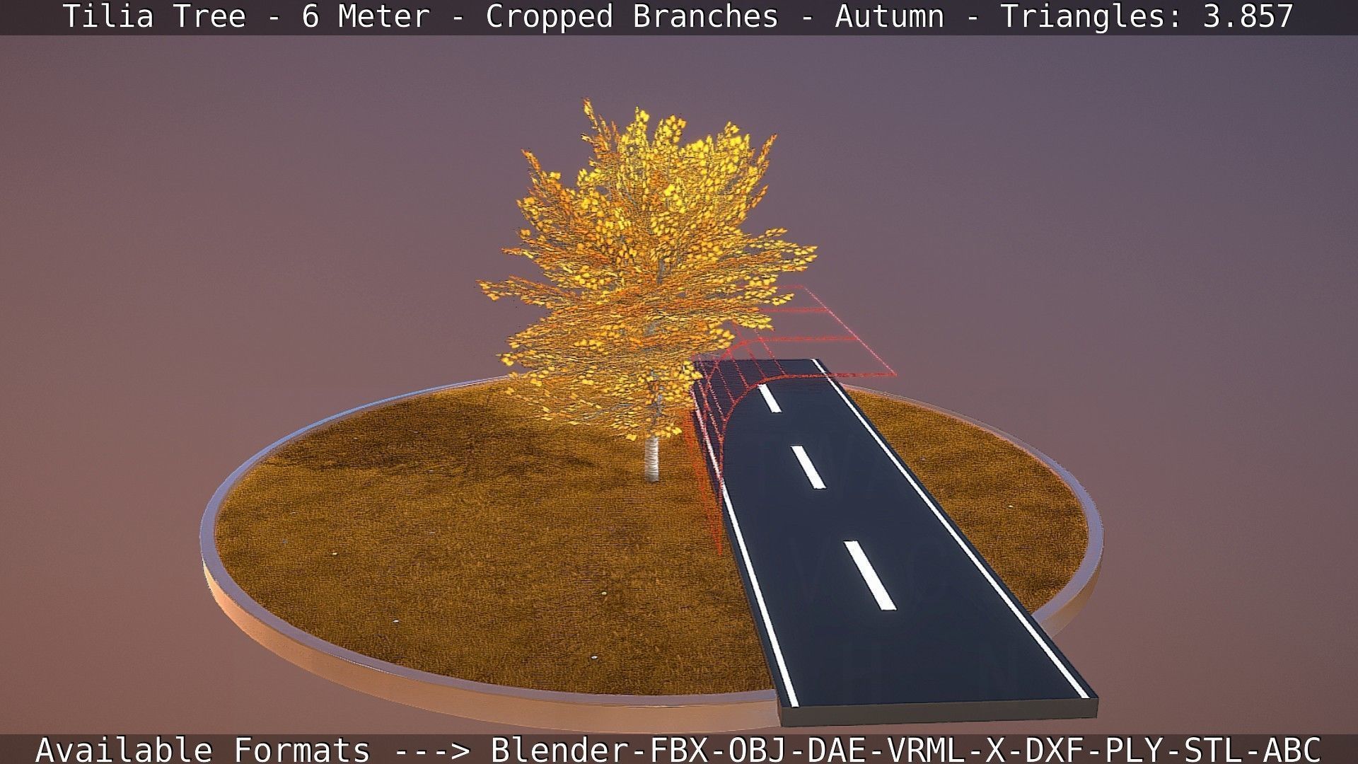 Tilia Tree - 6 Meter - cropped  branches - Autumn Low-poly 3D model_57