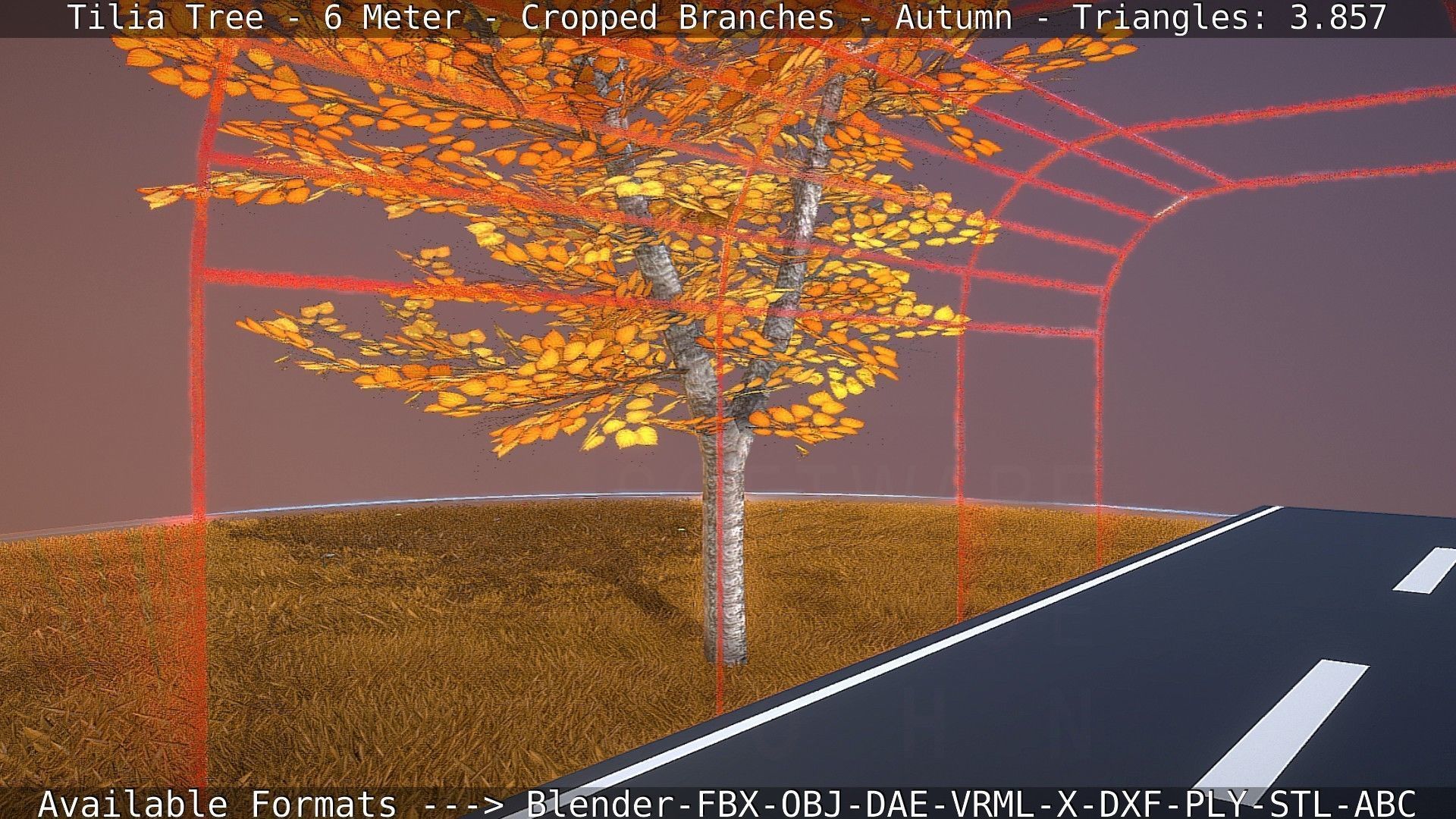 Tilia Tree - 6 Meter - cropped  branches - Autumn Low-poly 3D model_58