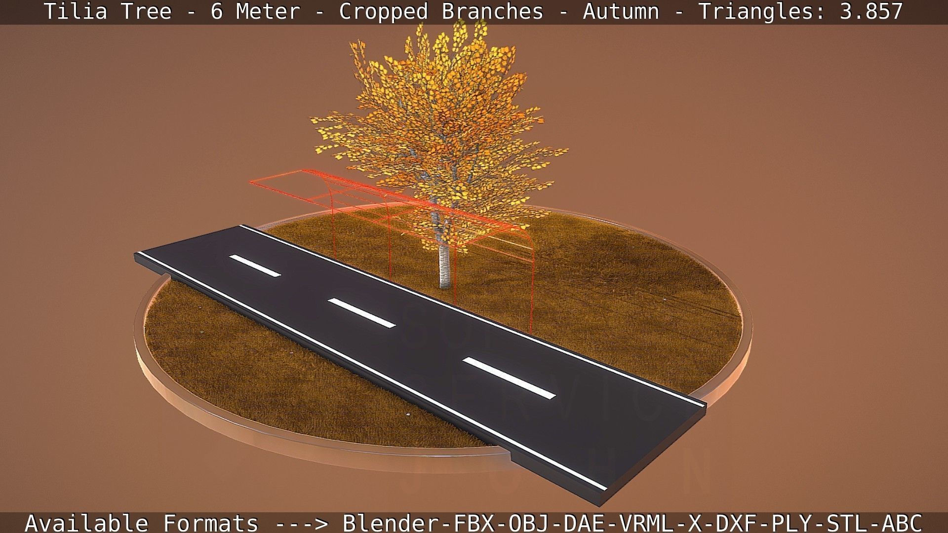 Tilia Tree - 6 Meter - cropped  branches - Autumn Low-poly 3D model_68