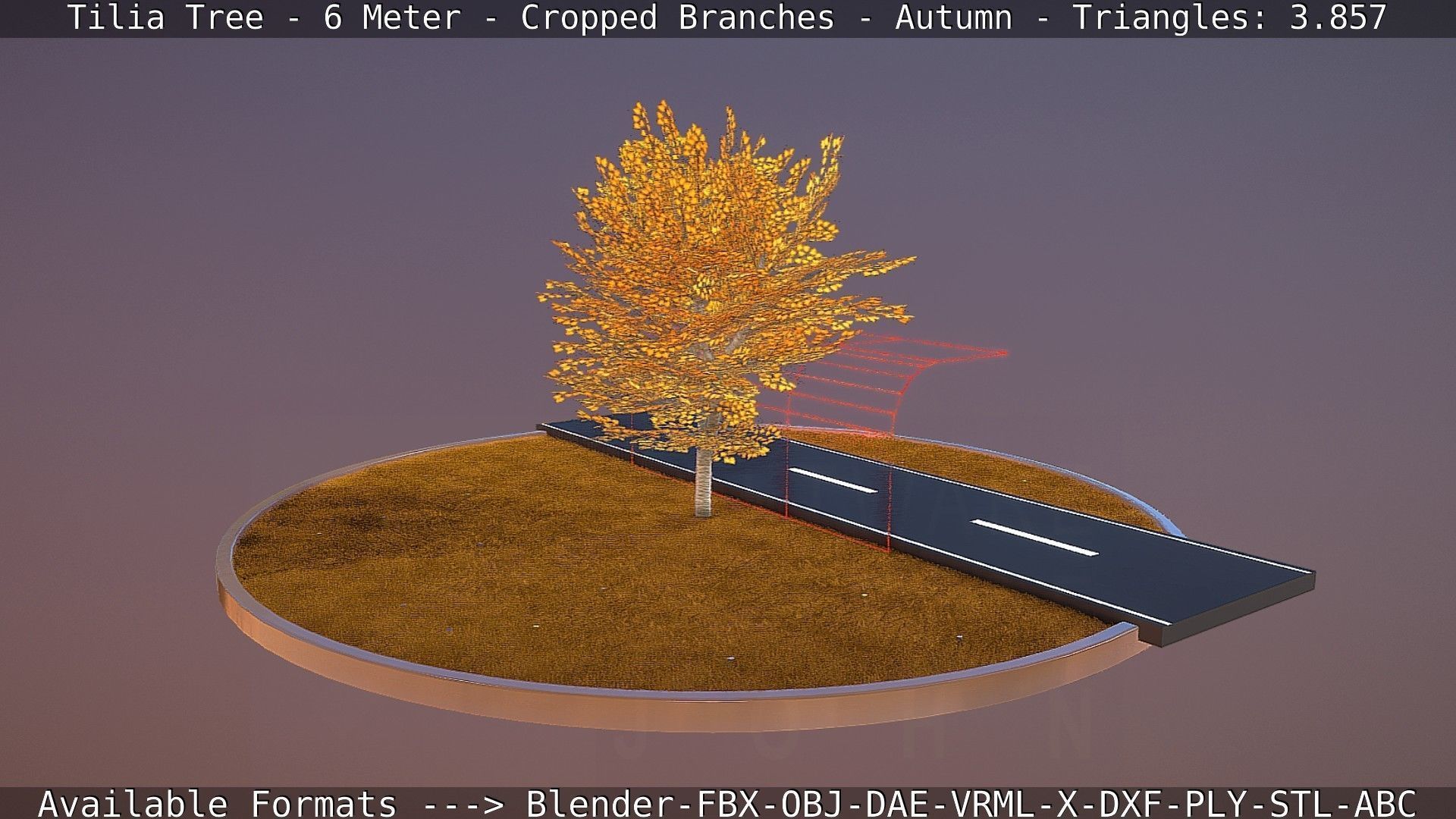 Tilia Tree - 6 Meter - cropped  branches - Autumn Low-poly 3D model_81