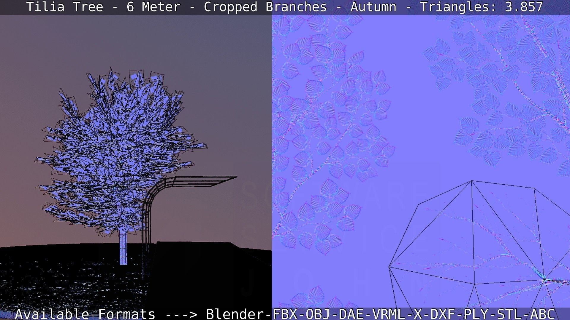 Tilia Tree - 6 Meter - cropped  branches - Autumn Low-poly 3D model_47