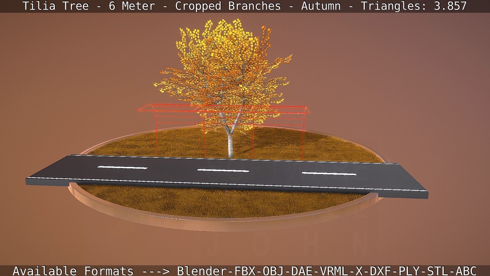 Tilia Tree - 6 Meter - cropped  branches - Autumn Low-poly 3D model_72