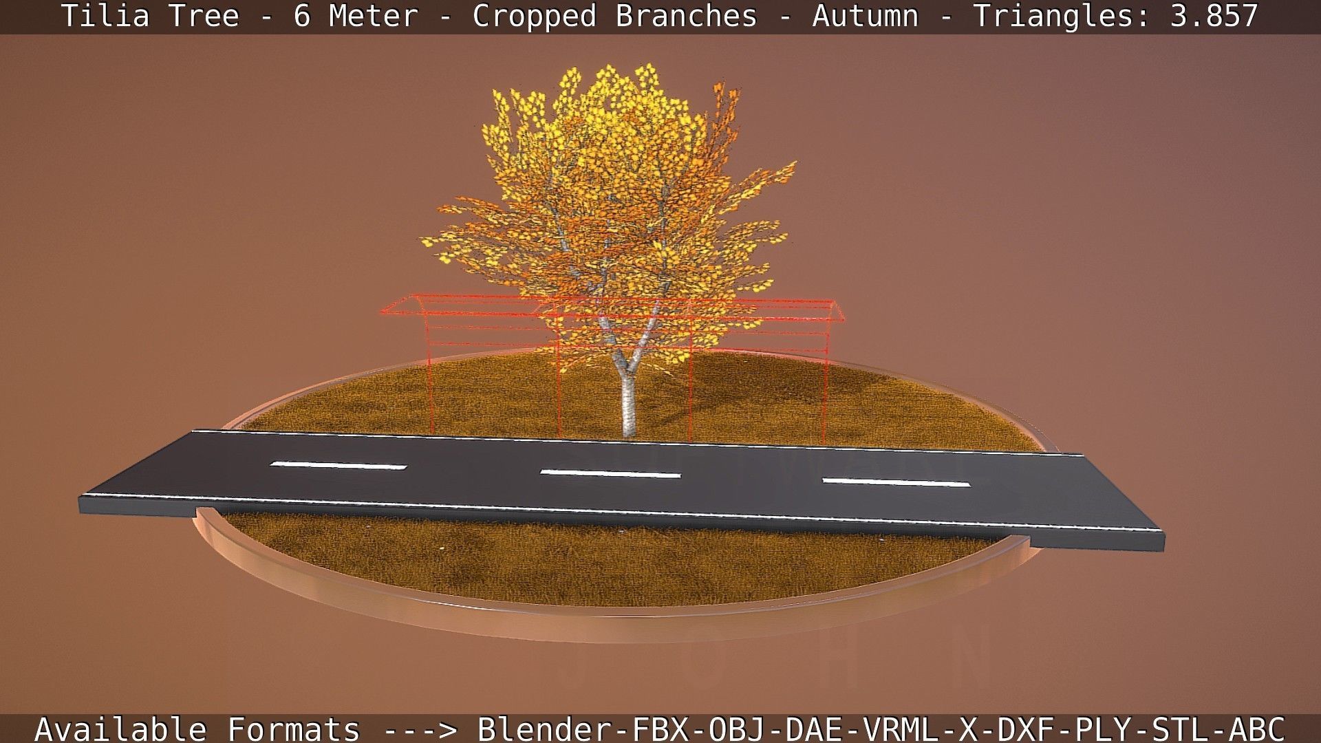 Tilia Tree - 6 Meter - cropped  branches - Autumn Low-poly 3D model_71