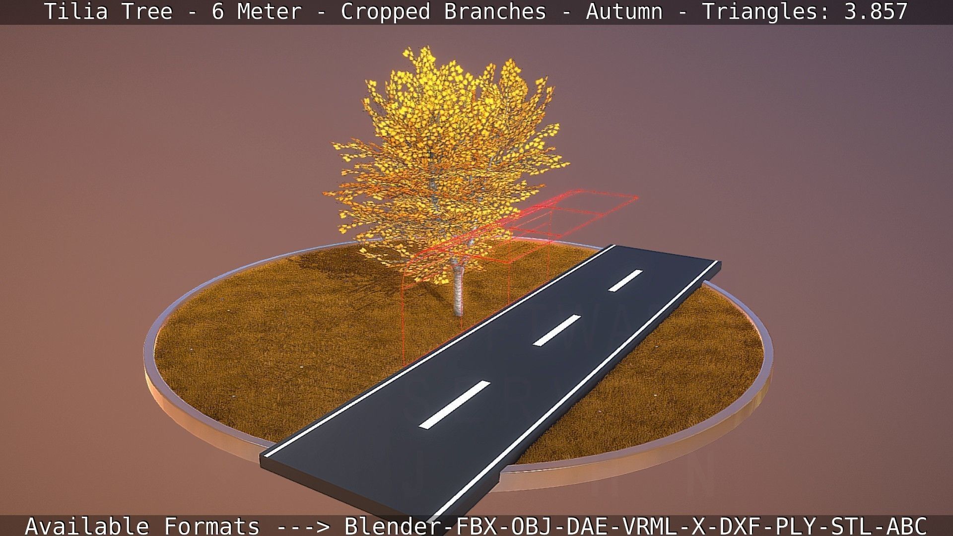 Tilia Tree - 6 Meter - cropped  branches - Autumn Low-poly 3D model_78