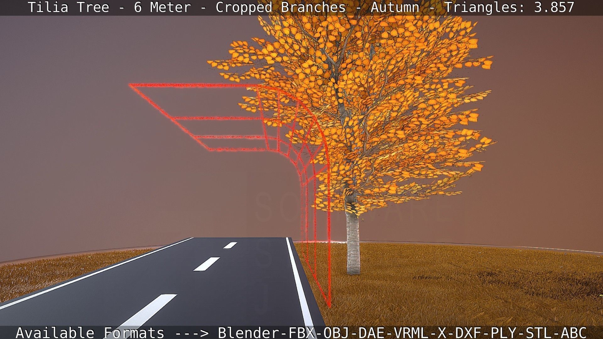 Tilia Tree - 6 Meter - cropped  branches - Autumn Low-poly 3D model_38