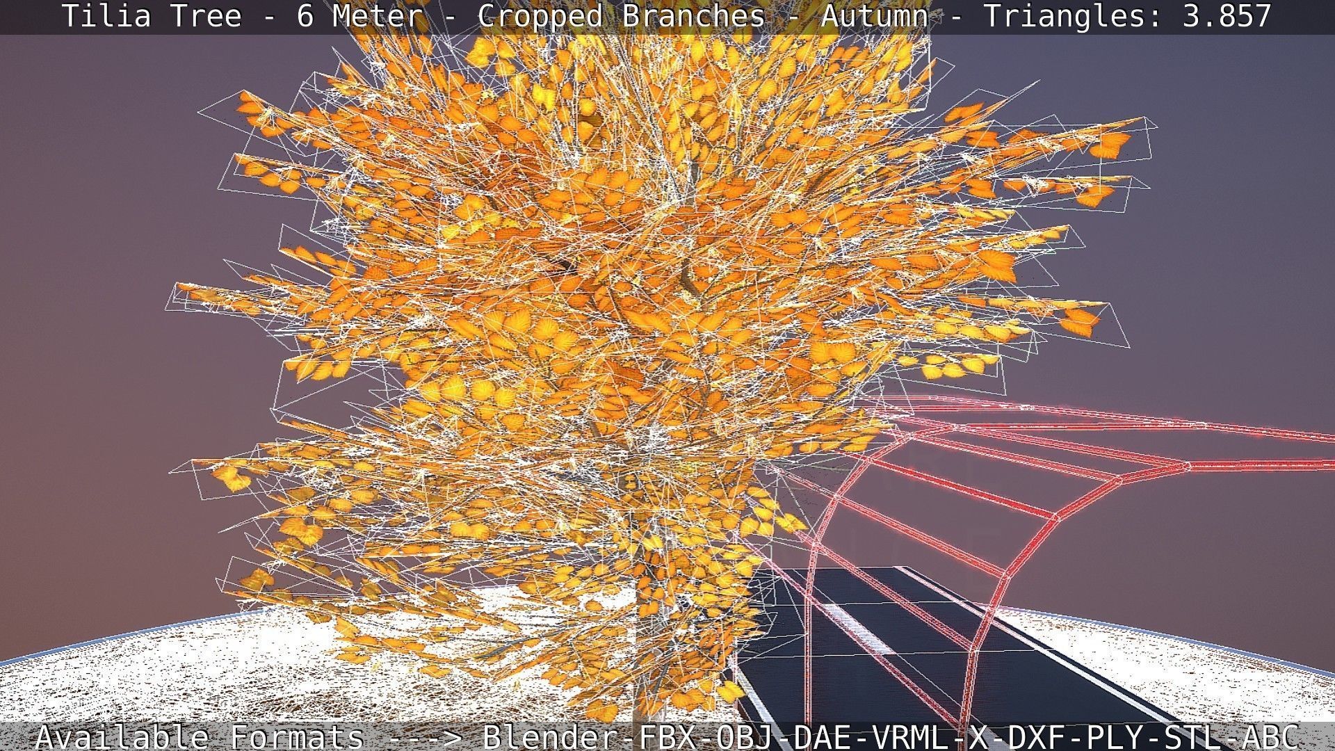 Tilia Tree - 6 Meter - cropped  branches - Autumn Low-poly 3D model_9