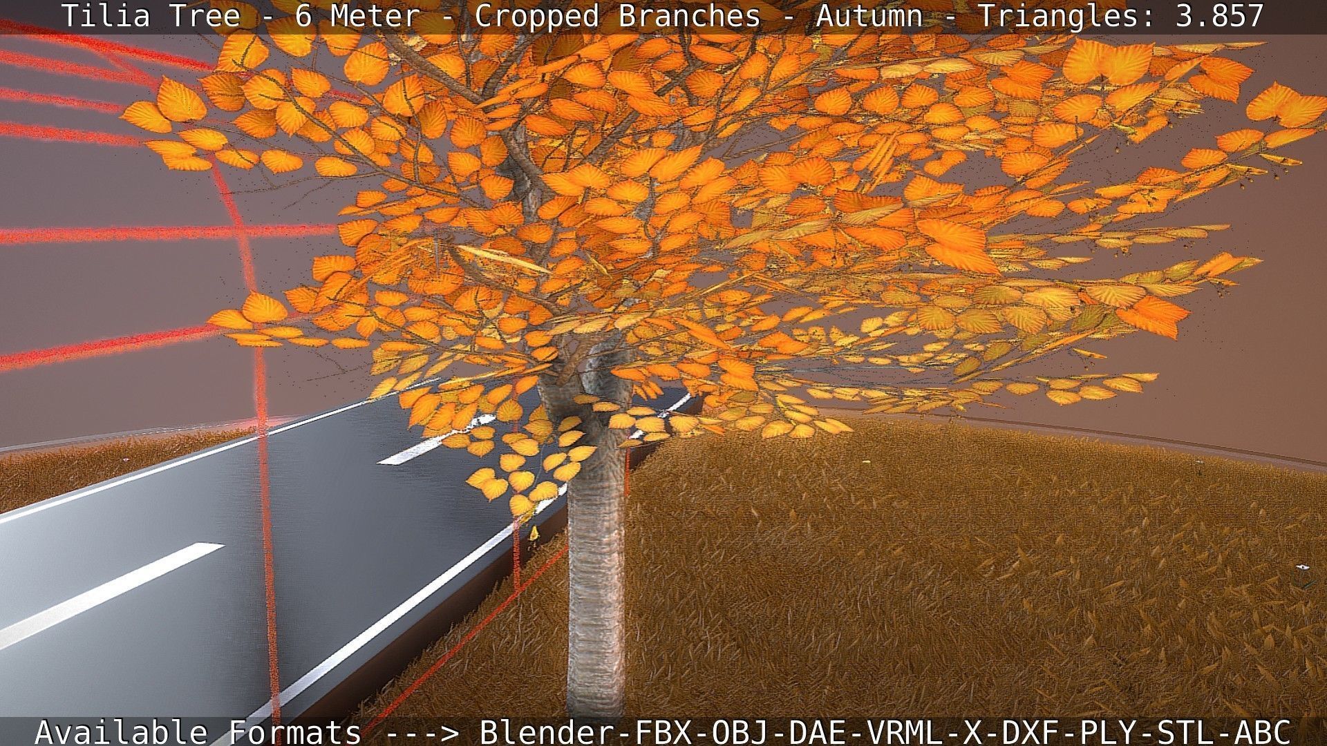 Tilia Tree - 6 Meter - cropped  branches - Autumn Low-poly 3D model_19