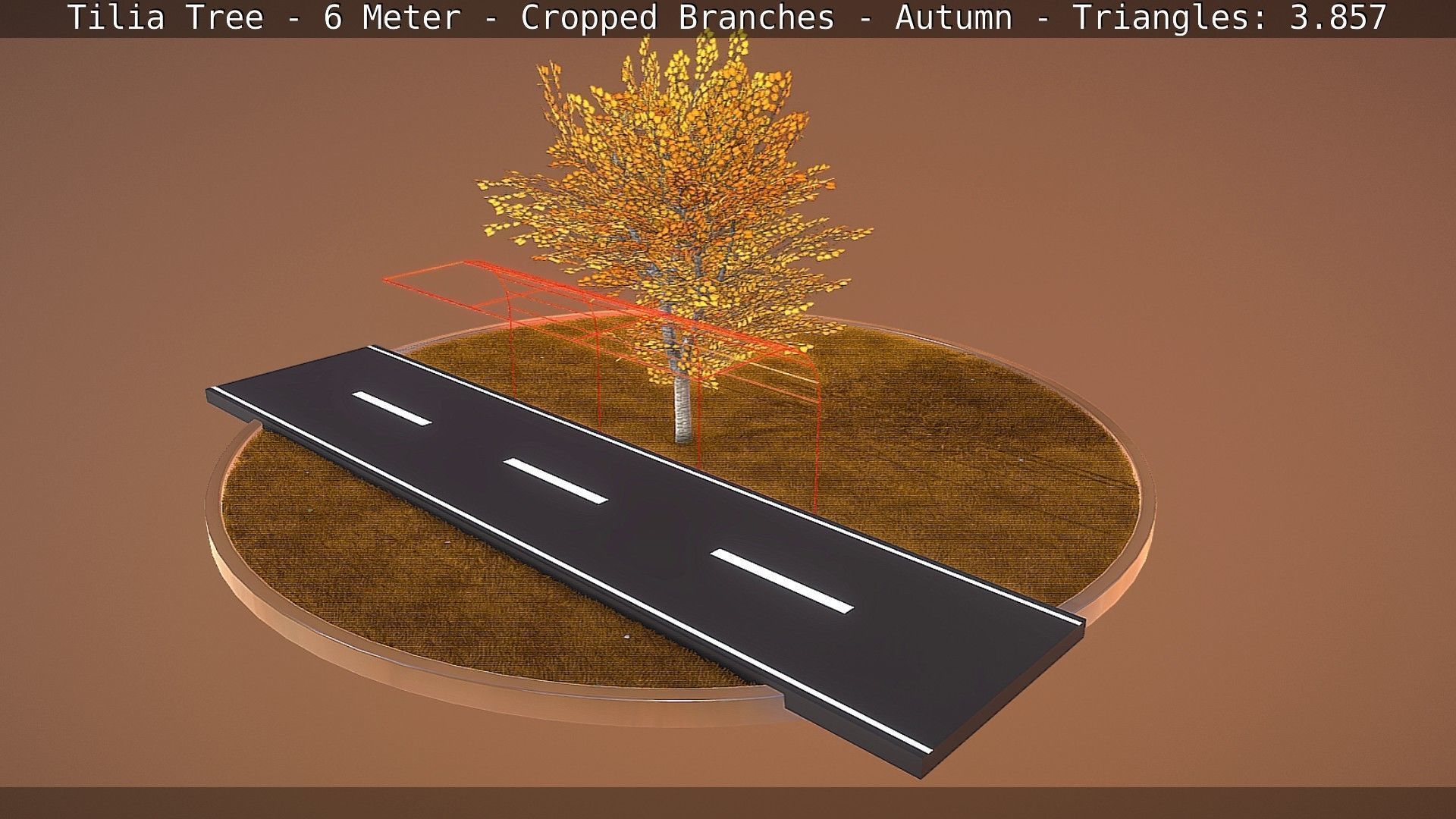 Tilia Tree - 6 Meter - cropped  branches - Autumn Low-poly 3D model_46