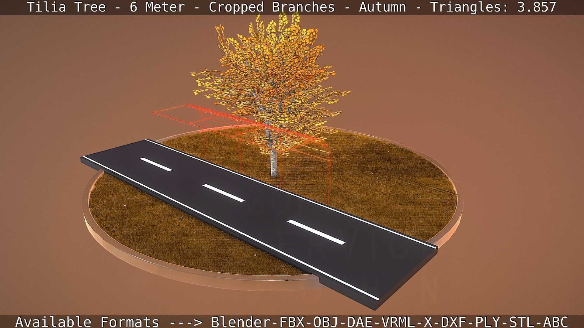 Tilia Tree - 6 Meter - cropped  branches - Autumn Low-poly 3D model_48