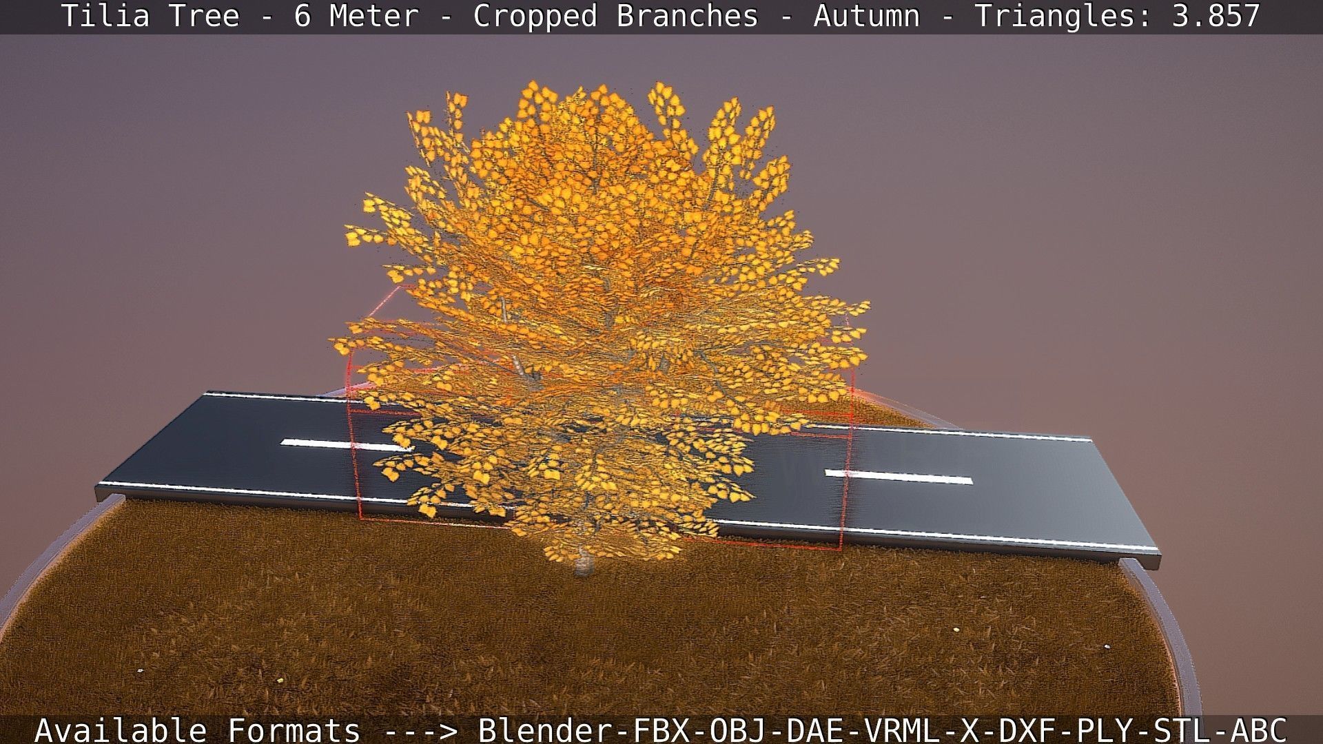 Tilia Tree - 6 Meter - cropped  branches - Autumn Low-poly 3D model_21