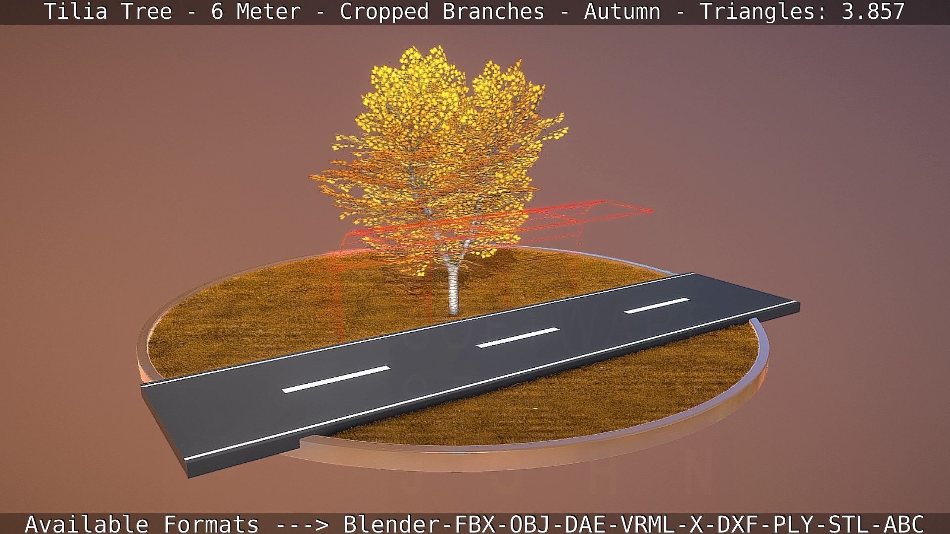 Tilia Tree - 6 Meter - cropped  branches - Autumn Low-poly 3D model_75