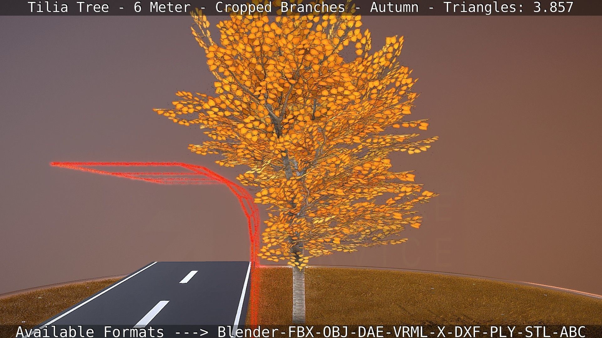 Tilia Tree - 6 Meter - cropped  branches - Autumn Low-poly 3D model_55