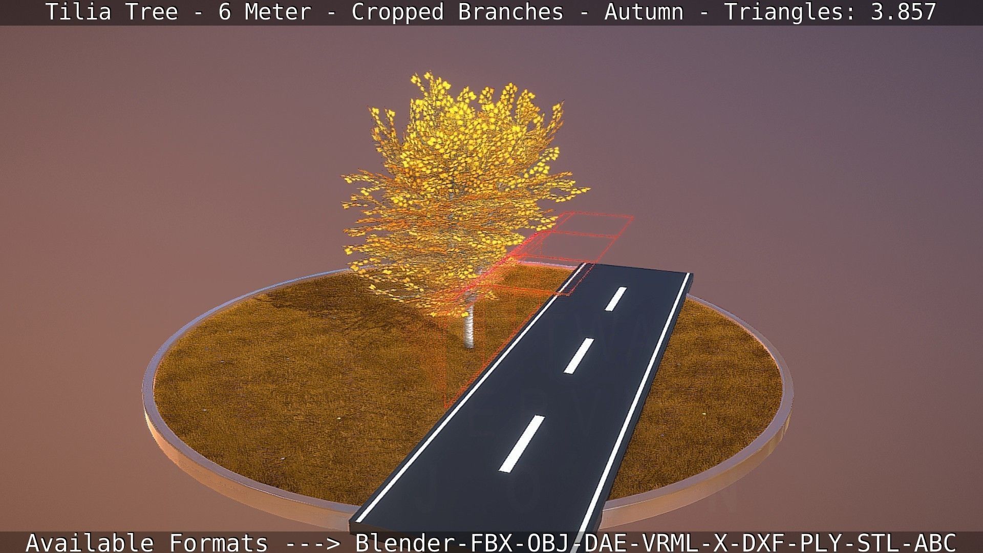 Tilia Tree - 6 Meter - cropped  branches - Autumn Low-poly 3D model_77