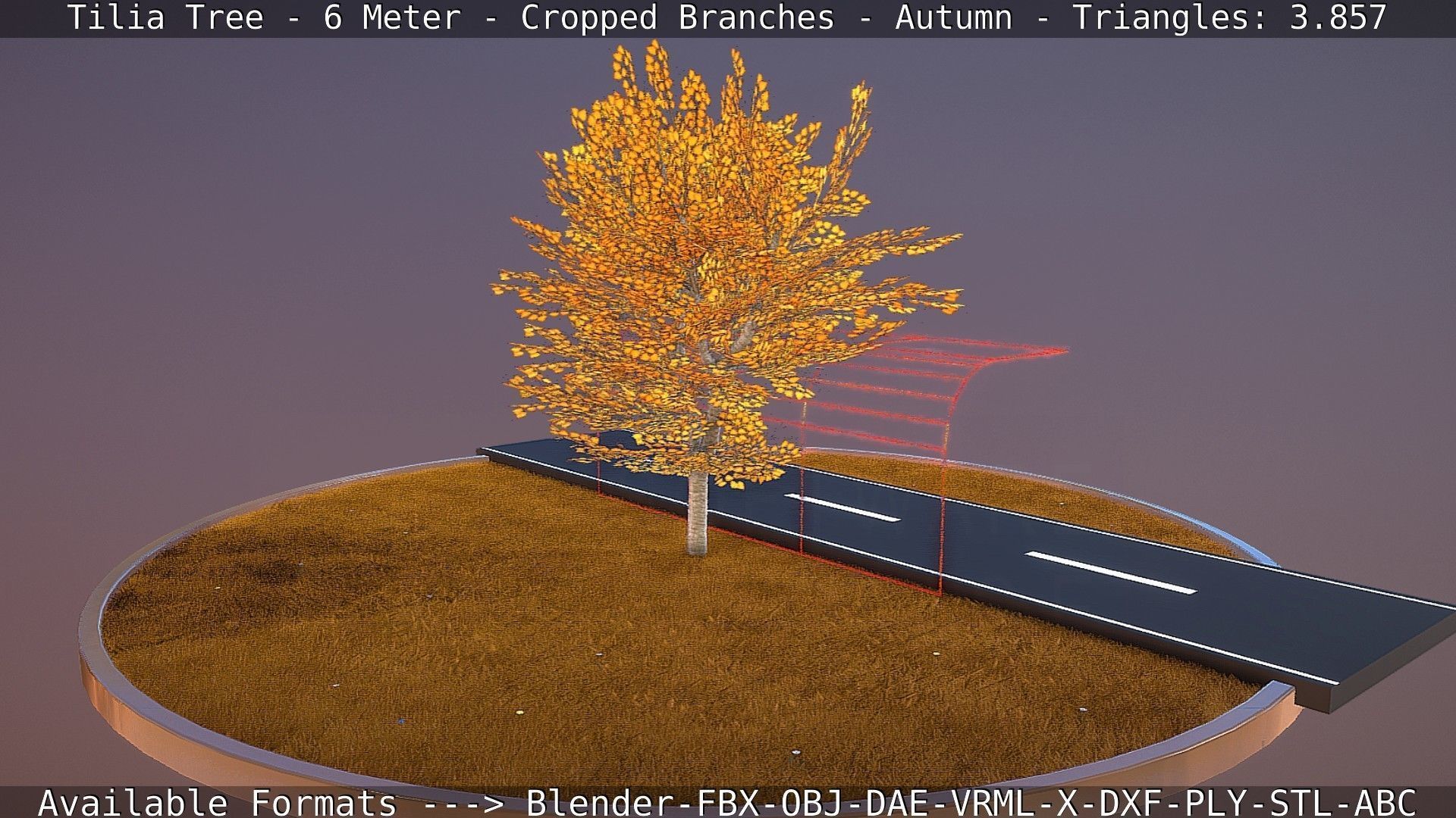 Tilia Tree - 6 Meter - cropped  branches - Autumn Low-poly 3D model_43