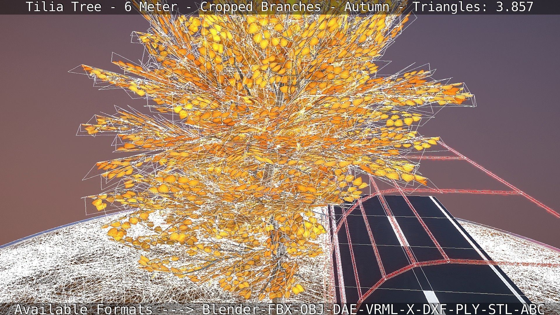 Tilia Tree - 6 Meter - cropped  branches - Autumn Low-poly 3D model_10