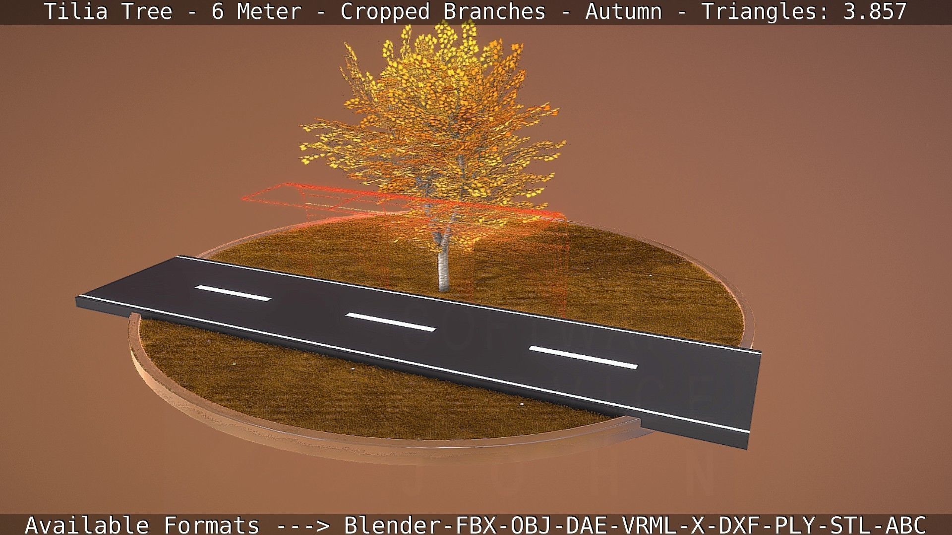 Tilia Tree - 6 Meter - cropped  branches - Autumn Low-poly 3D model_69